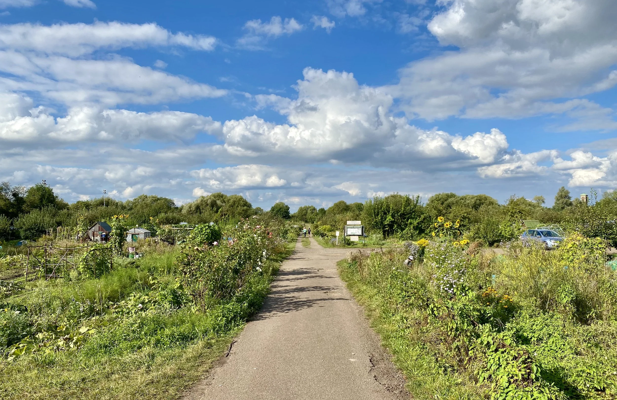 Allotment SEPT 1.jpg