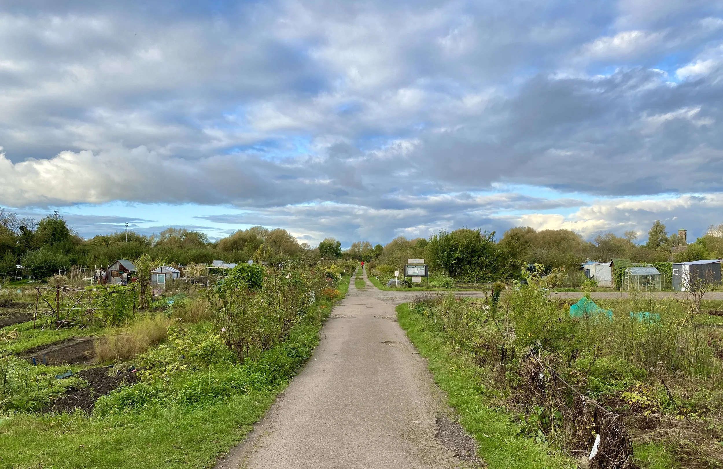 Allotment OCT 4.jpg