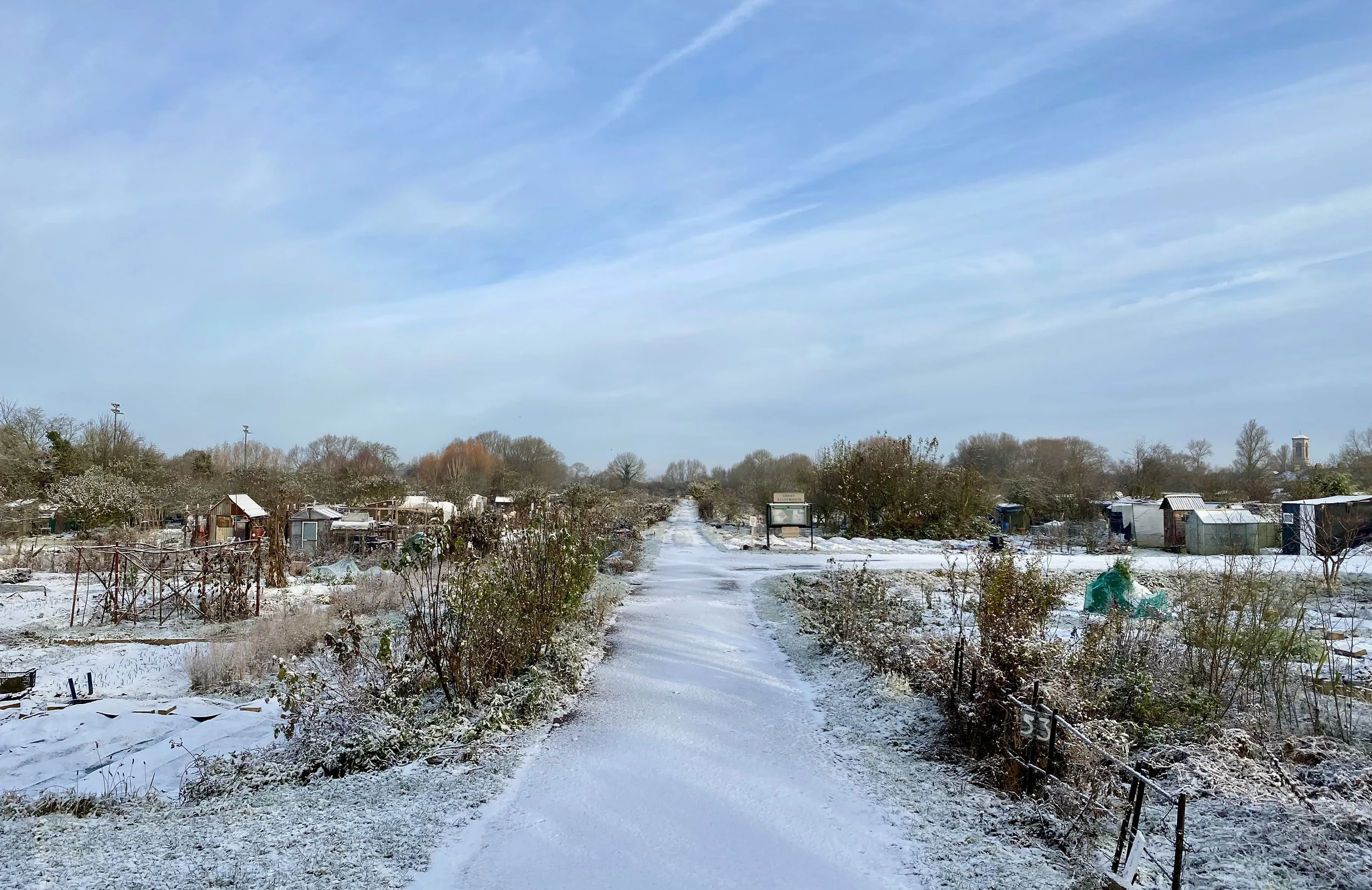 Allotment NOV 1.jpg