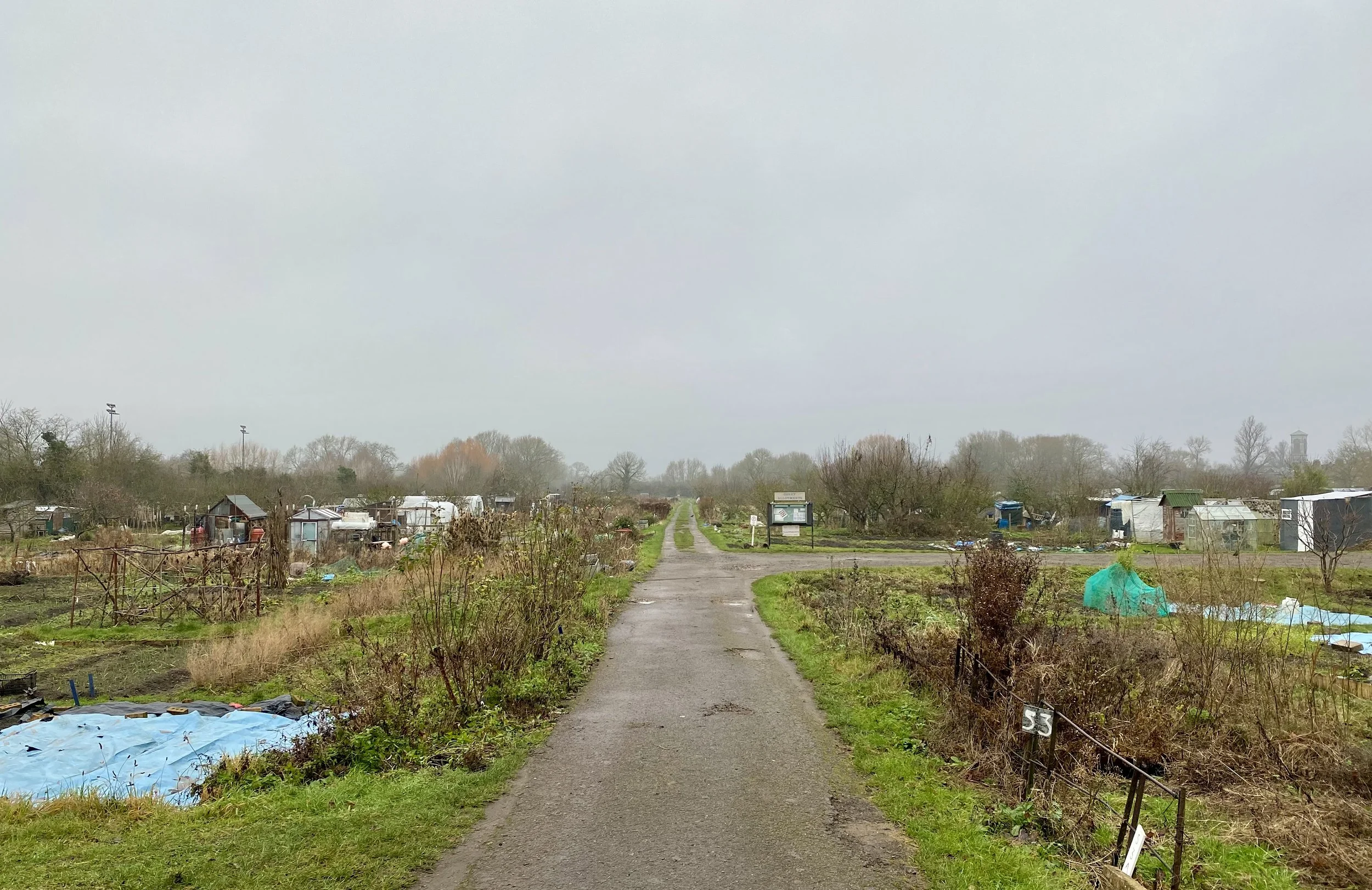 Allotment DEC 3.jpg