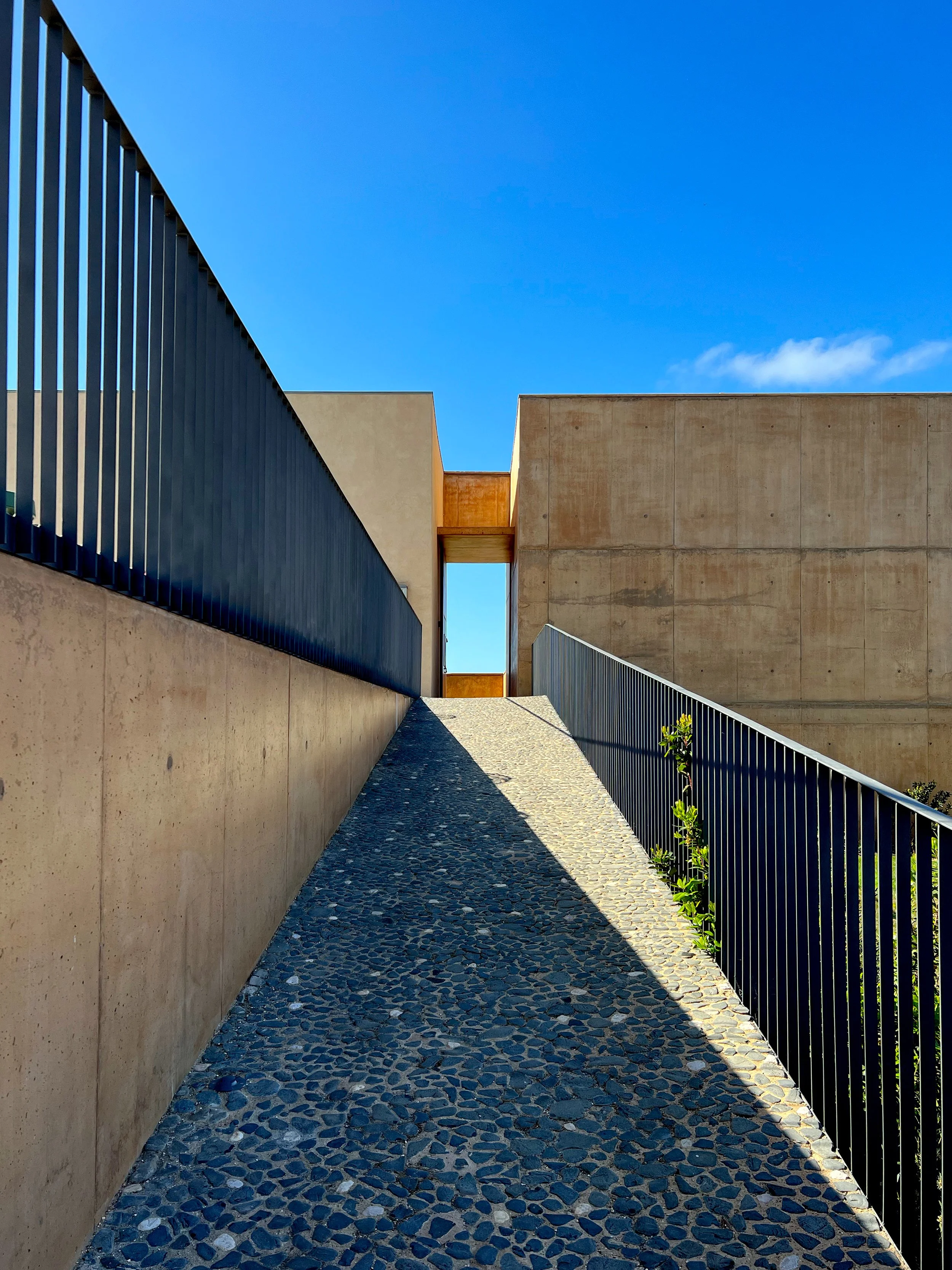 Praia Do Canal - Marcus Baron (4).jpg