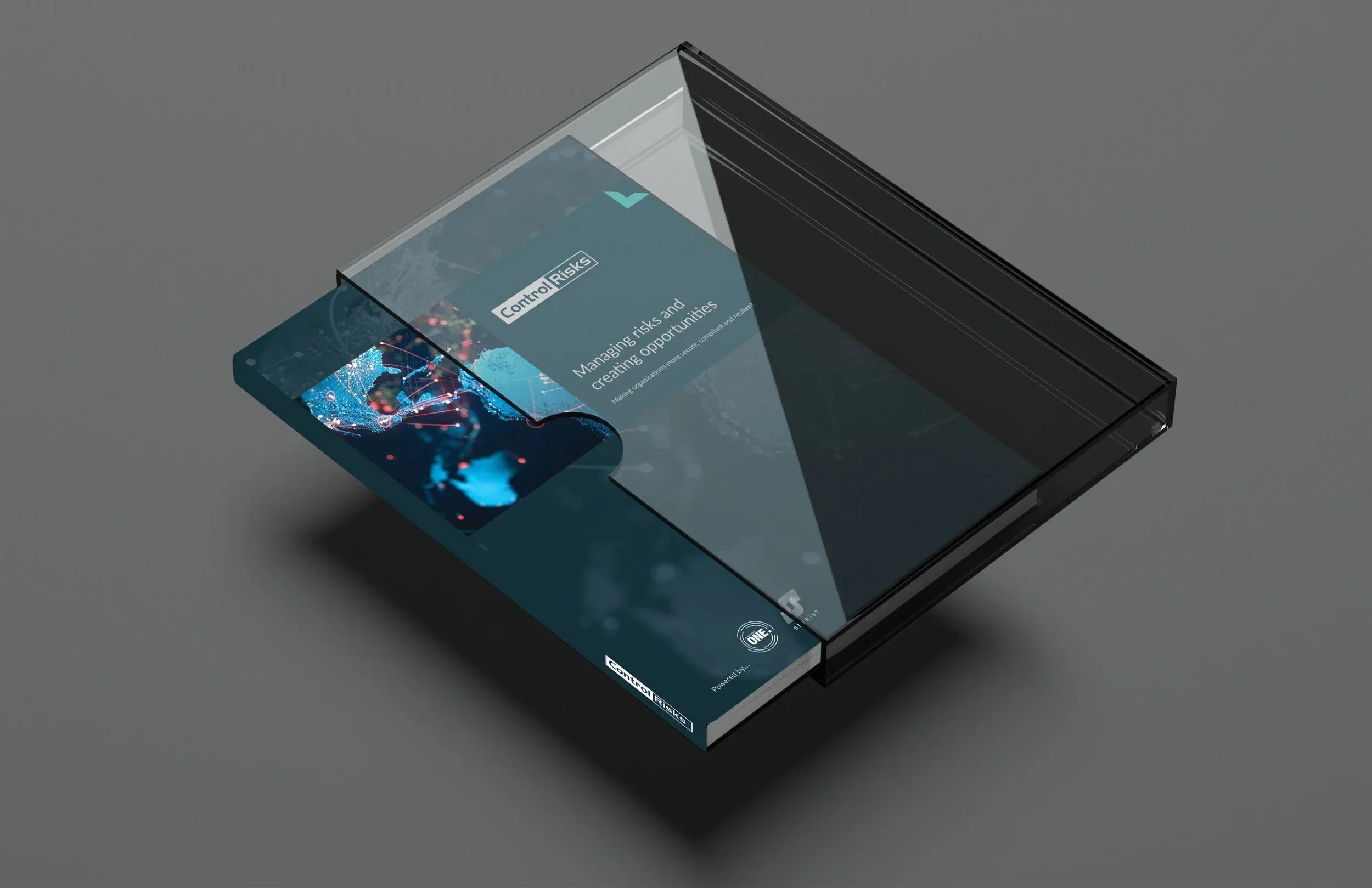 Control Risks Book.jpg