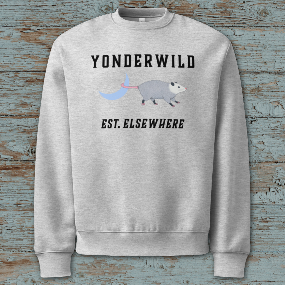 Moon Possum Oversized Heavyweight Sweatshirt