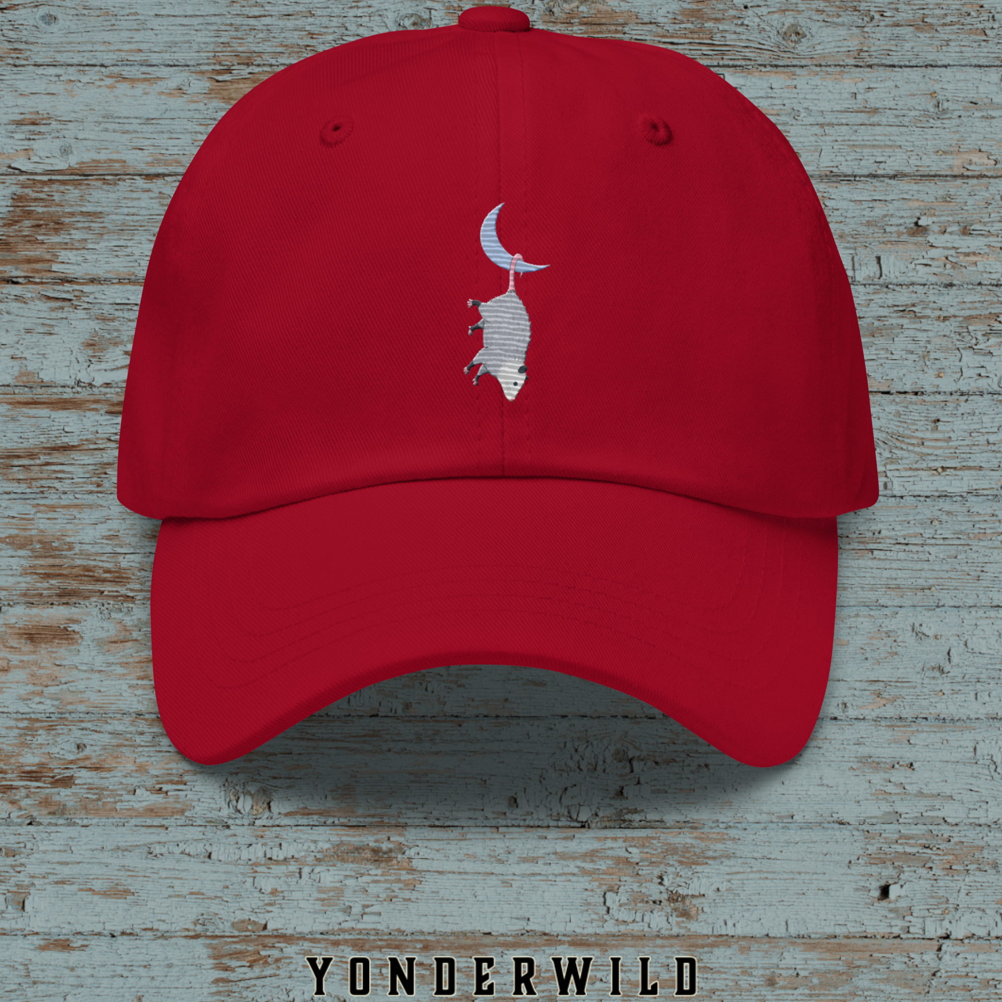 Moon Possum Ball Cap