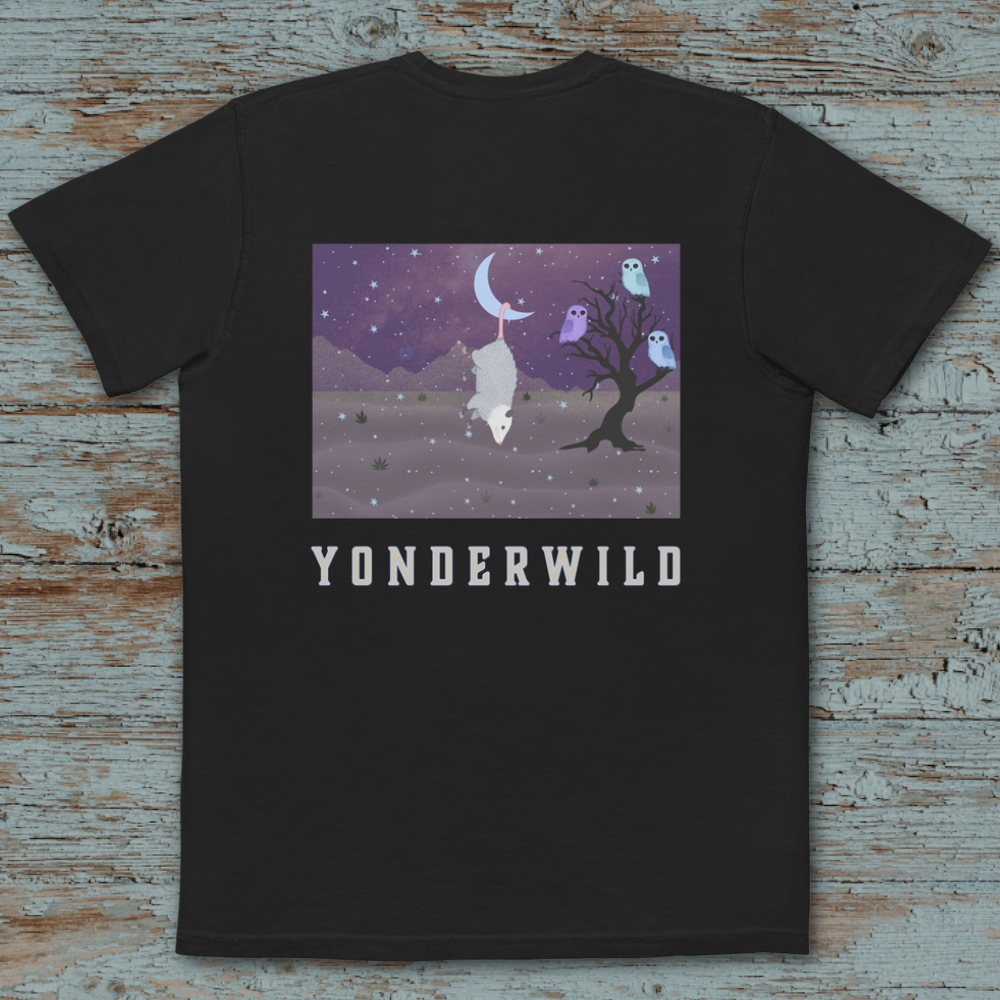 High Desert Pocket Tee
