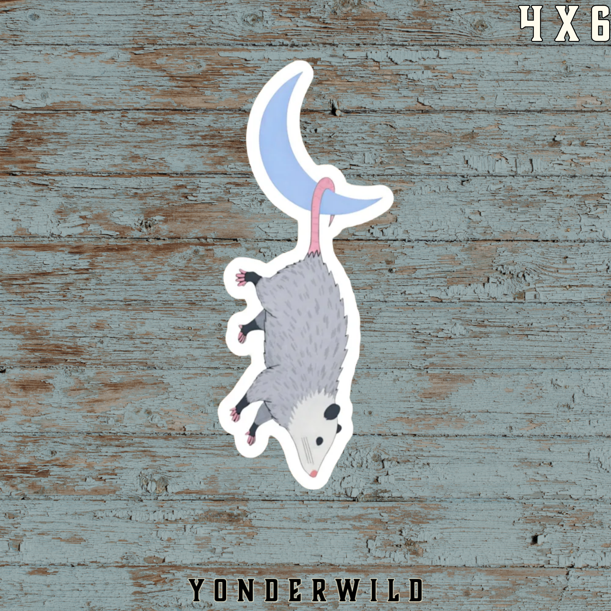 Moon Possum Vinyl Decal