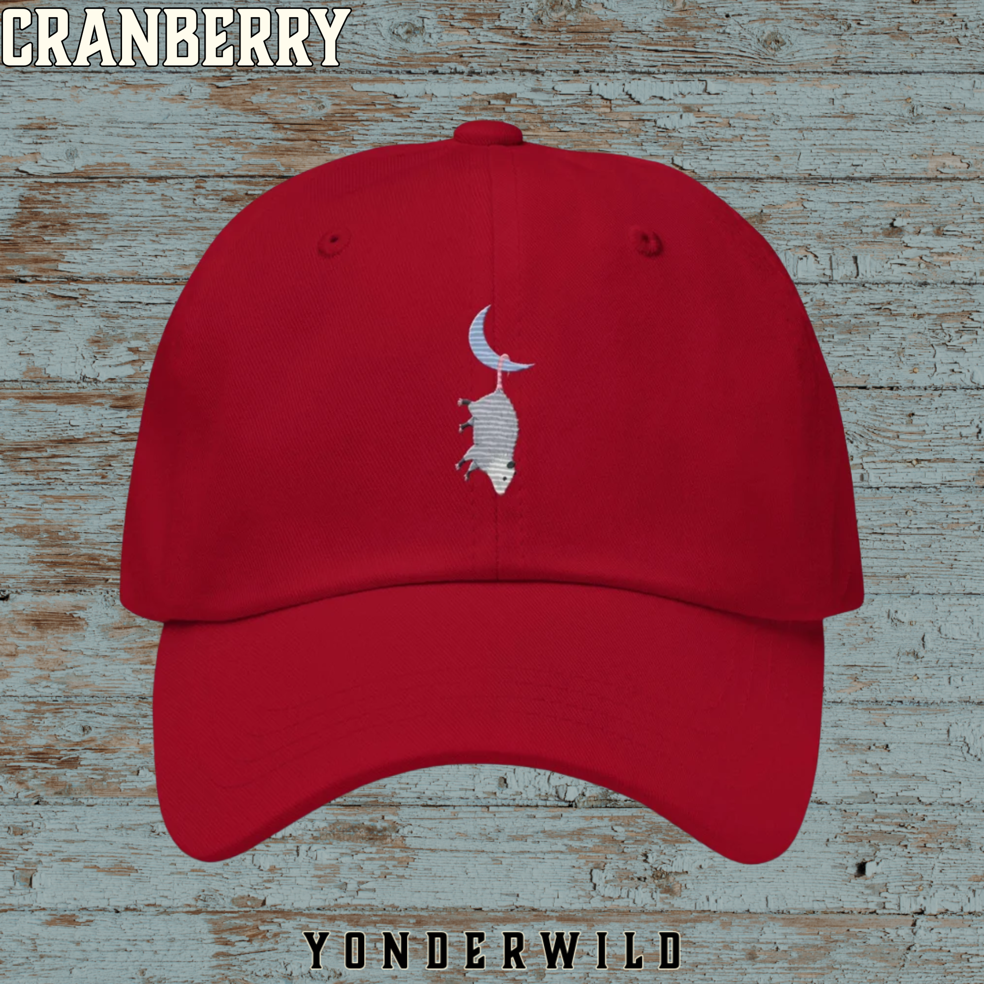 Moon Possum Ball Cap
