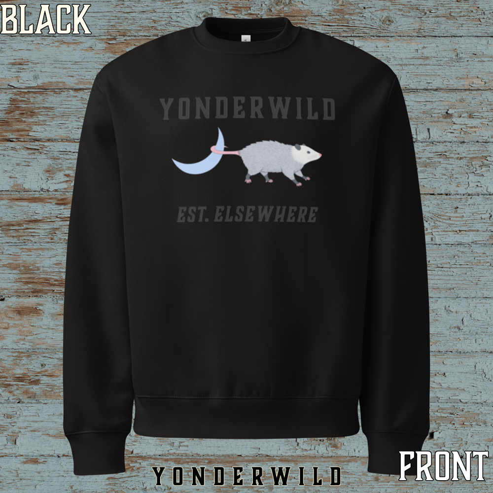 Moon Possum Oversized Heavyweight Sweatshirt (Black) (Front).png