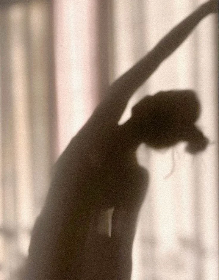Silhouette d'une main tenant une fleur contre une fenêtre avec des rideaux blancs.