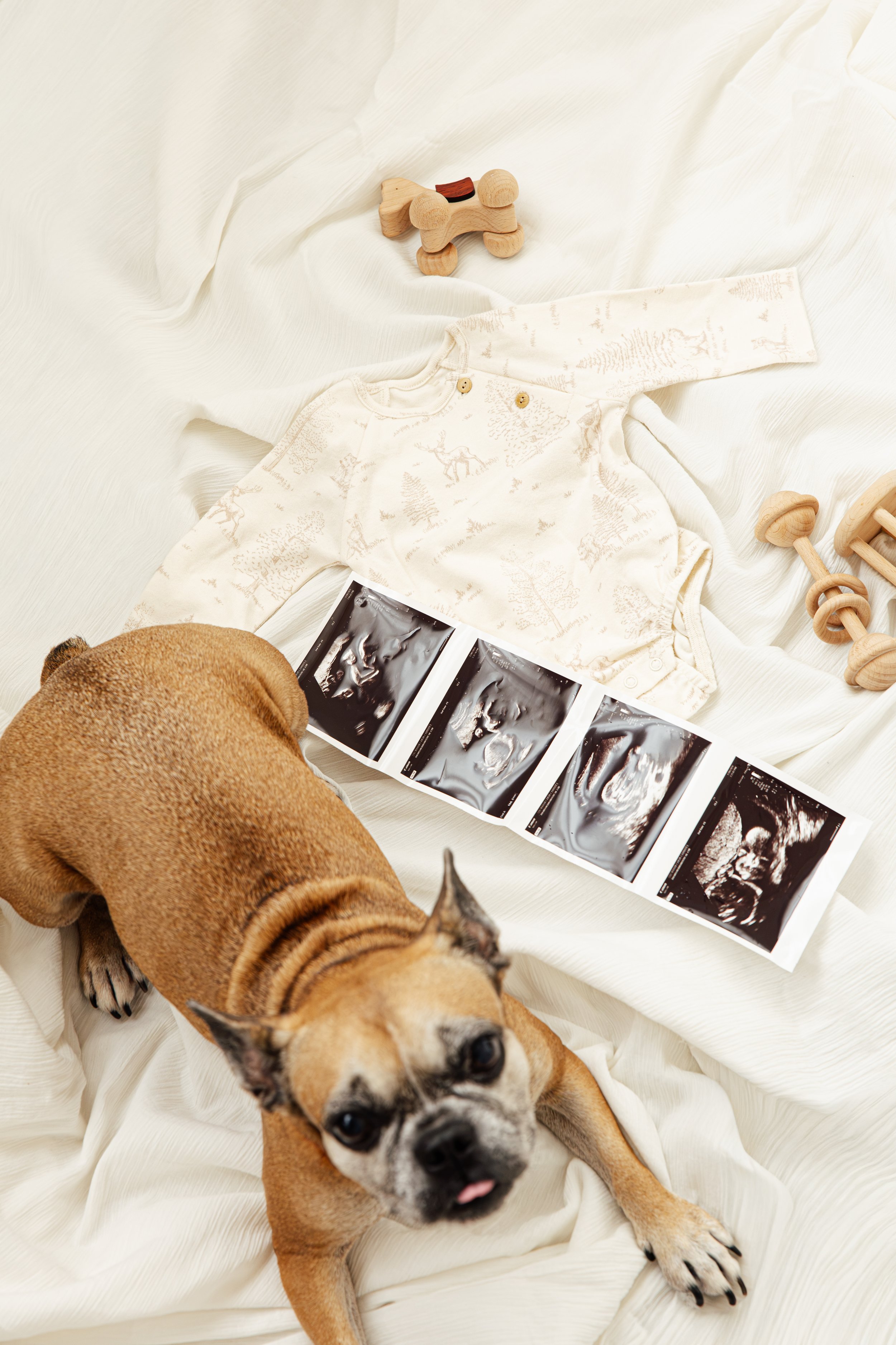 MaternityPhotoshoot-ChantelandShawn-067.jpg