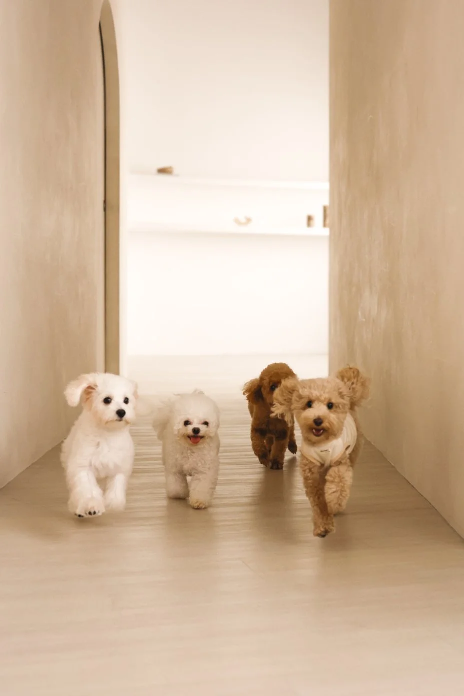 ChinFamily-034.jpg