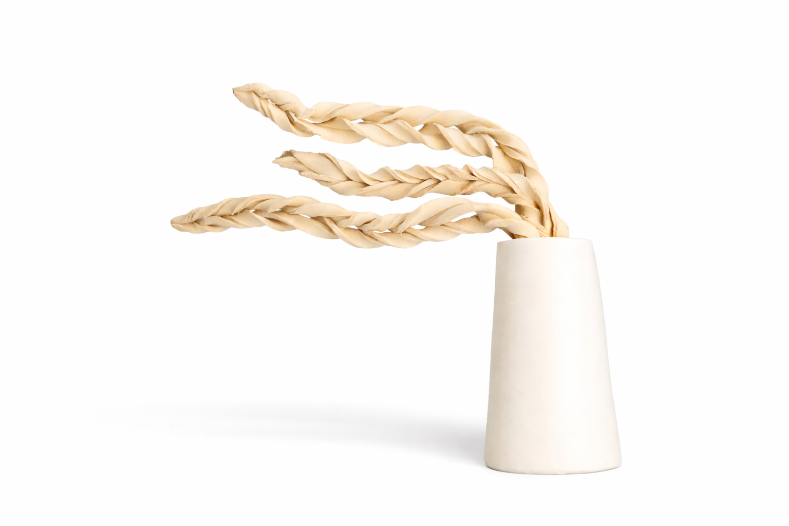 Three twisted beige rope-like objects in a white ceramic vase against a white background.