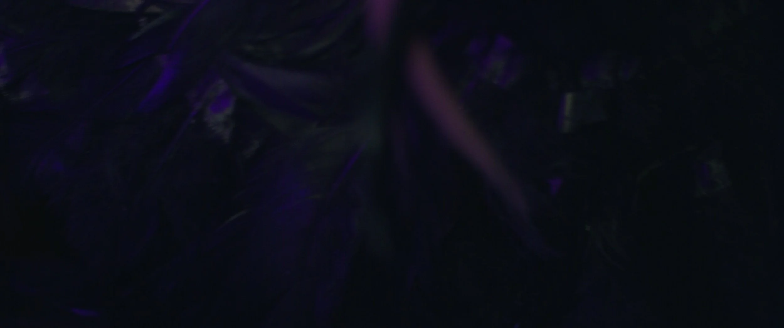 Still 2026-01-17 162140_2.8.1.jpg