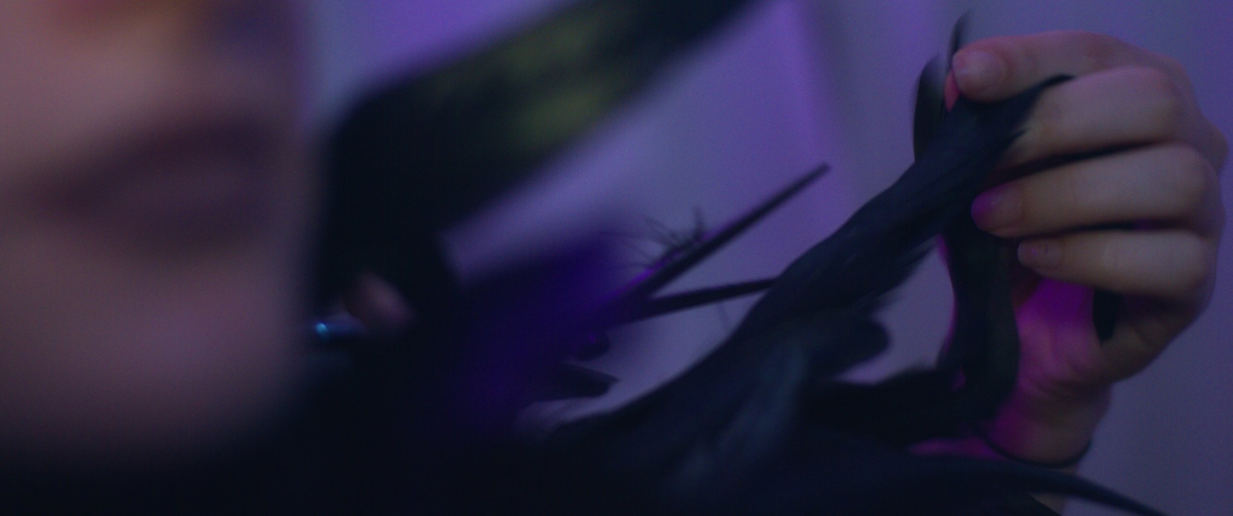 Still 2026-01-17 162339_4.9.1.jpg