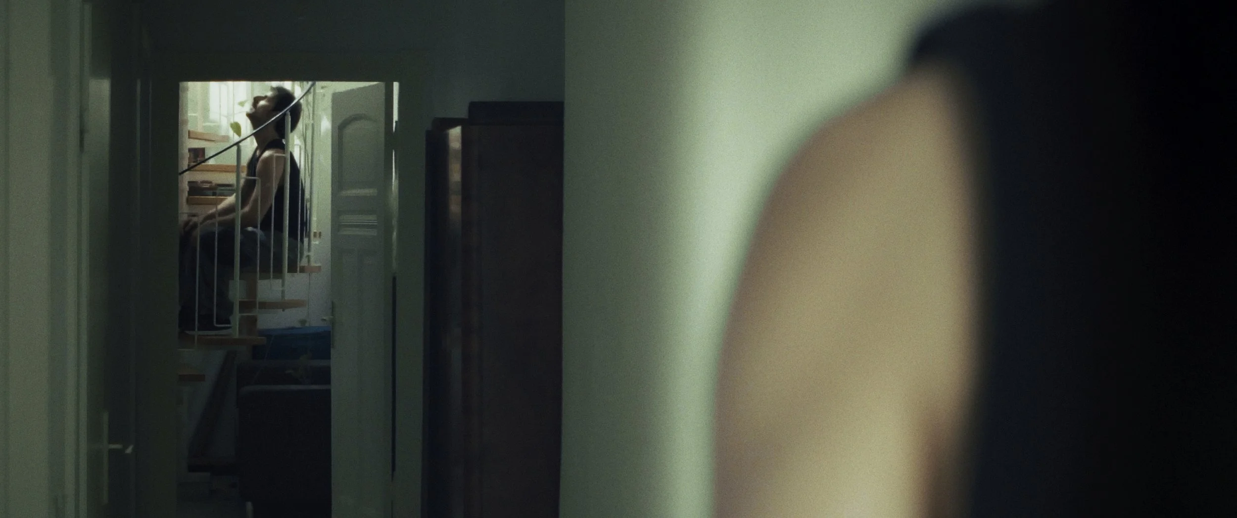 Still 2026-03-05 194417_1.22.1.jpg