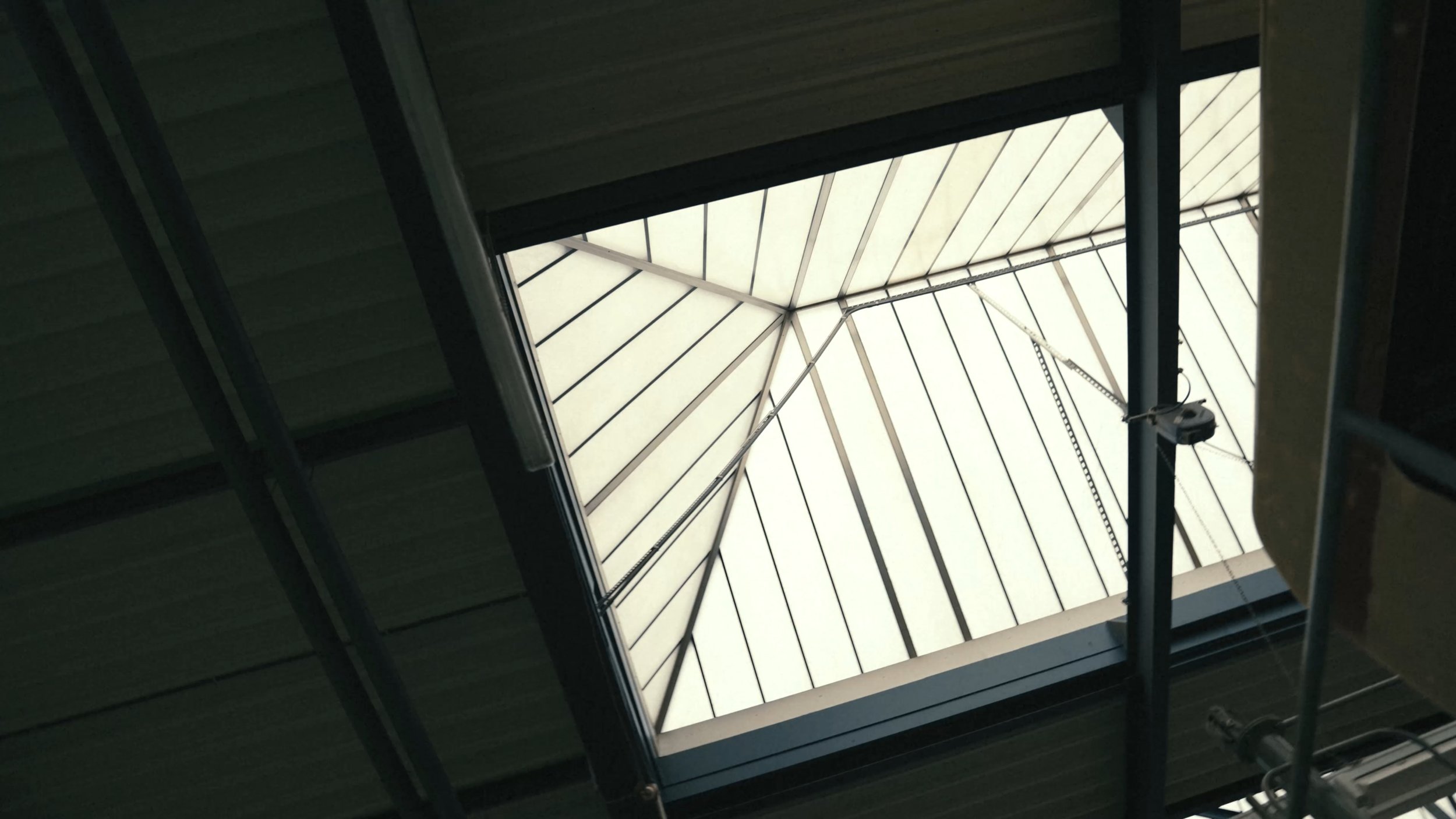 Still 2026-02-10 120943_1.2.4.jpg