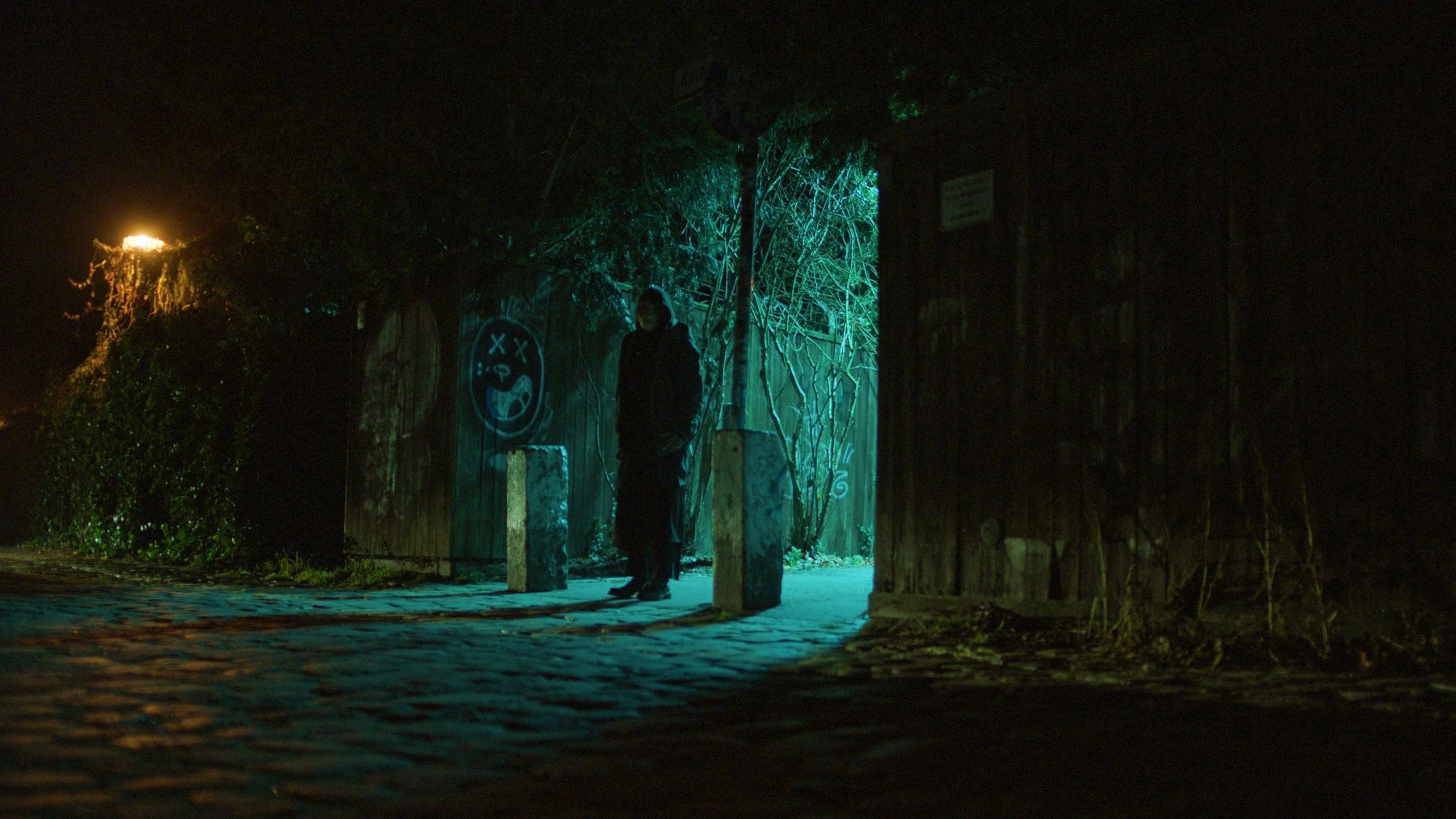 Still 2026-02-19 180059_1.12.1.jpg