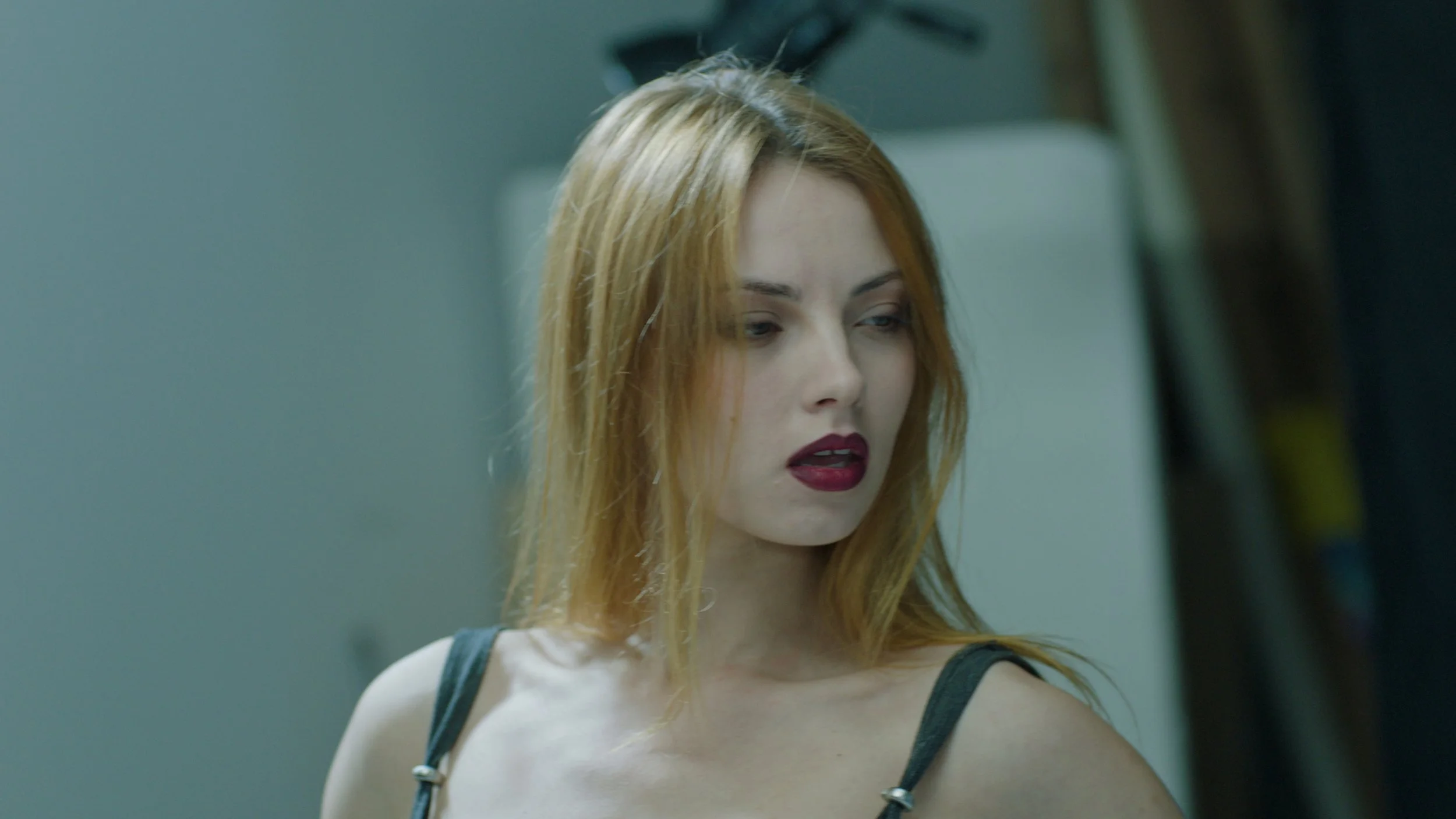 Still 2026-02-19 183215_1.70.5.jpg