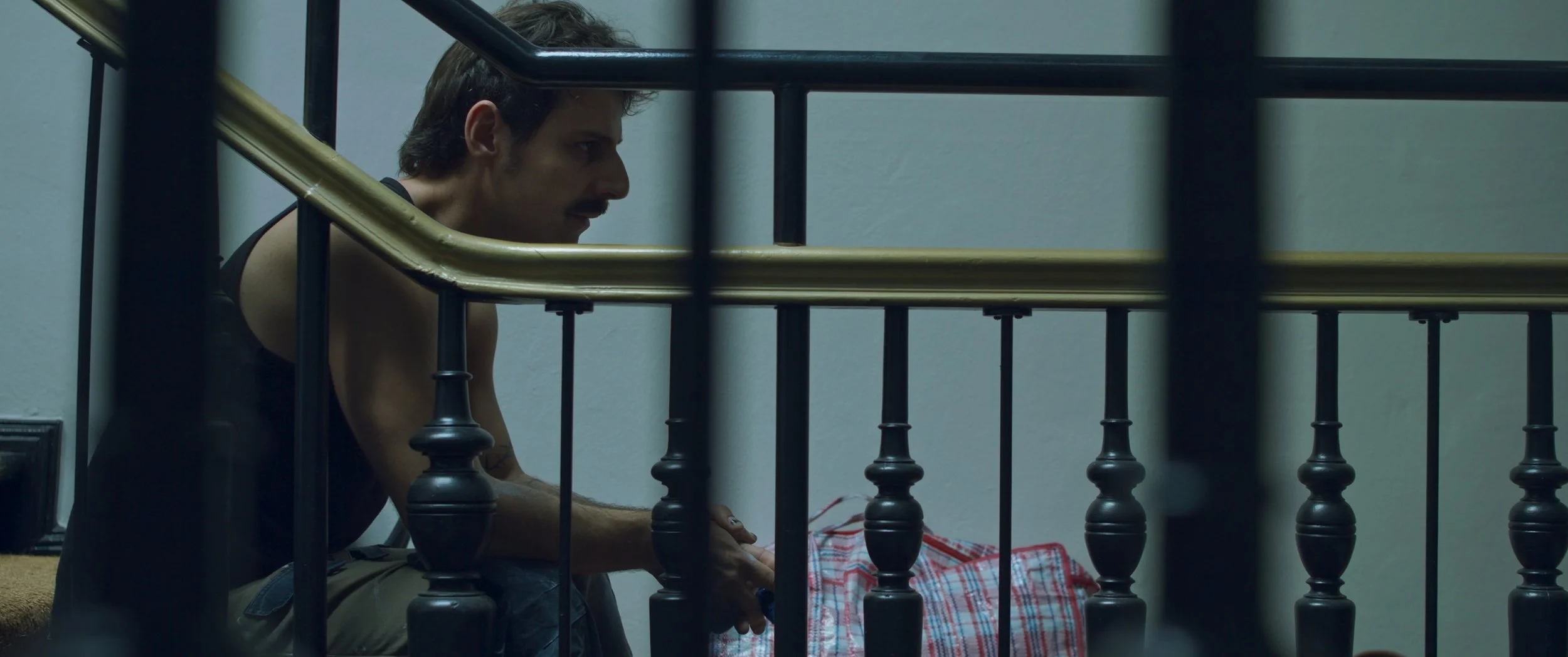 Still 2026-03-05 193852_2.4.1.jpg