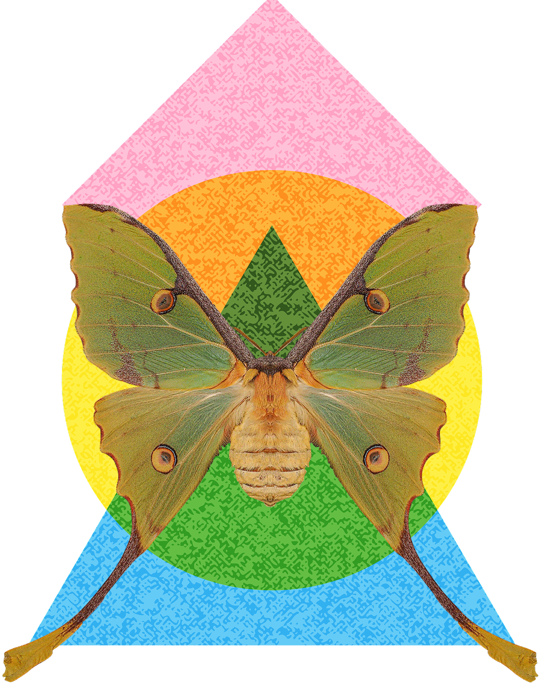 A digitally illustrated geometric background with a butterfly at the center, composed of symmetrical green, yellow, orange, pink, and blue shapes layered behind the butterfly's wings.