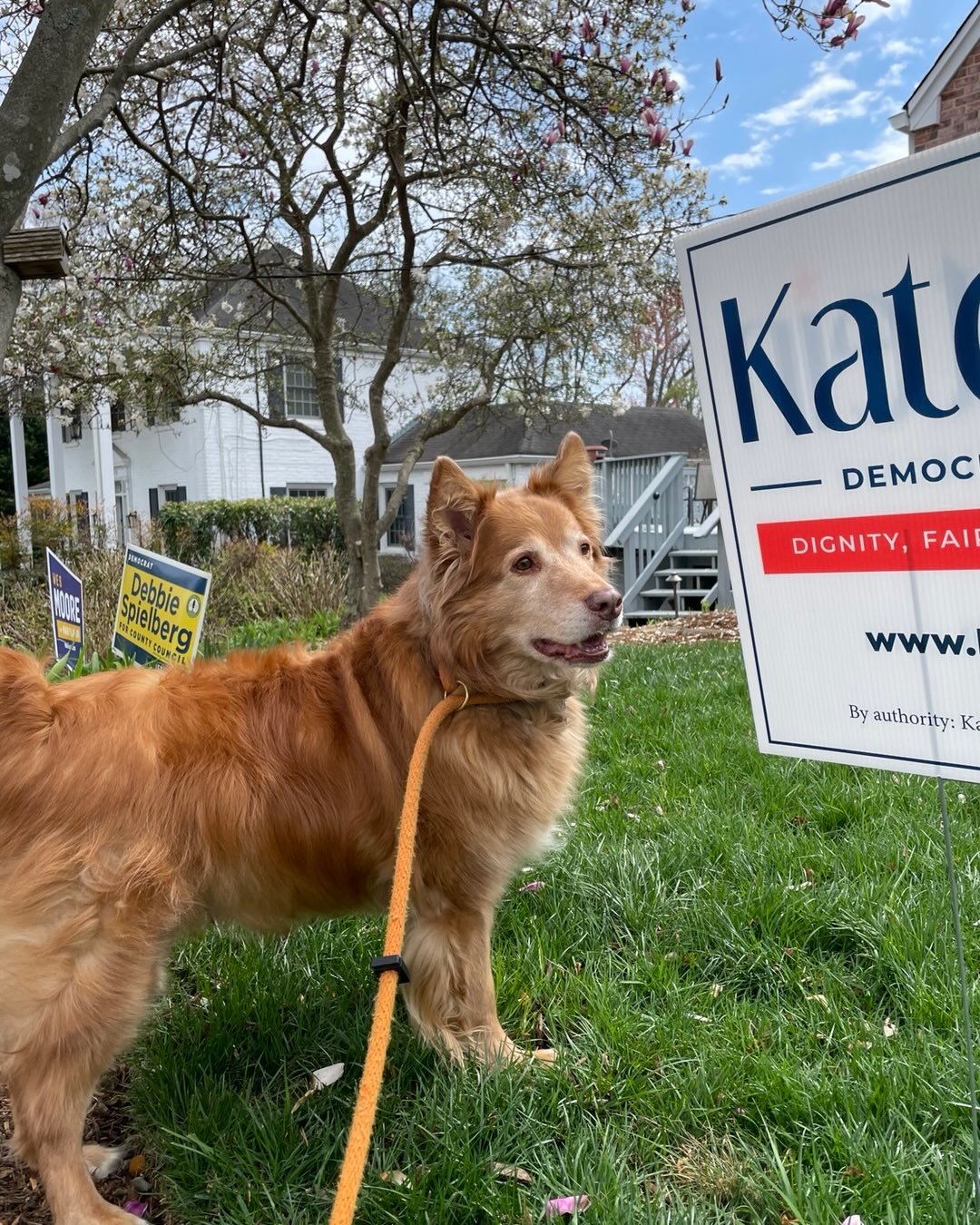 It&rsquo;s too bad the puppies can&rsquo;t vote!