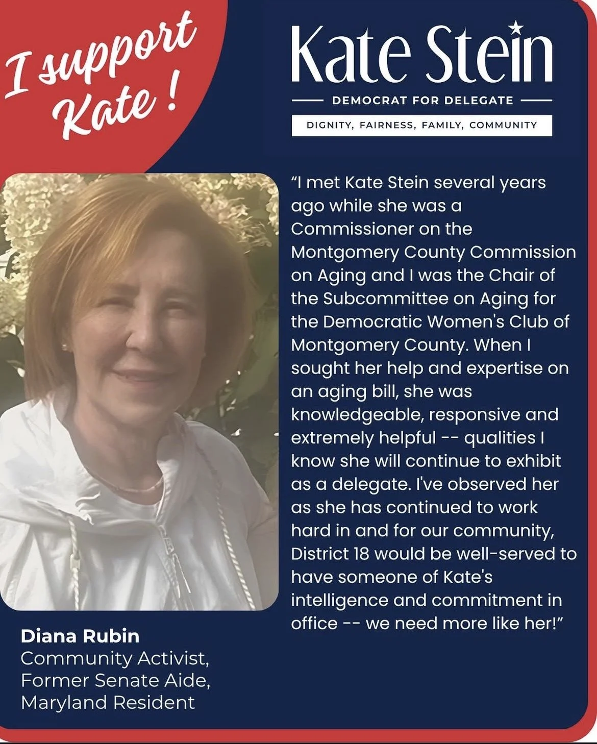 Diana Rubin, a community activist and former Maryland Senate aide, with text describing her support for Stein, highlighting her qualifications and experience. The flyer emphasizes Stein's qualities like dignity, fairness, family, and community.
