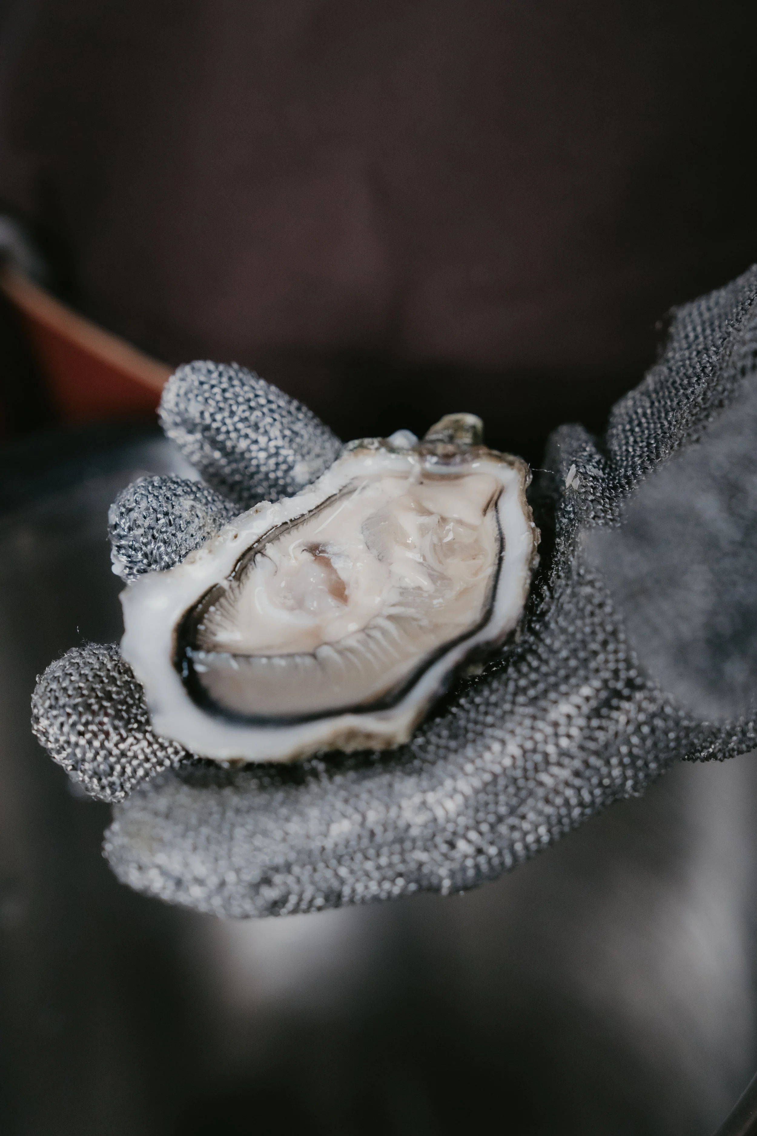 Libre culinaire, Animation culinaire autour d’huîtres fraîches pour événement haut de gamme