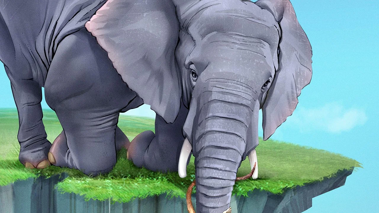 Medical Product Information