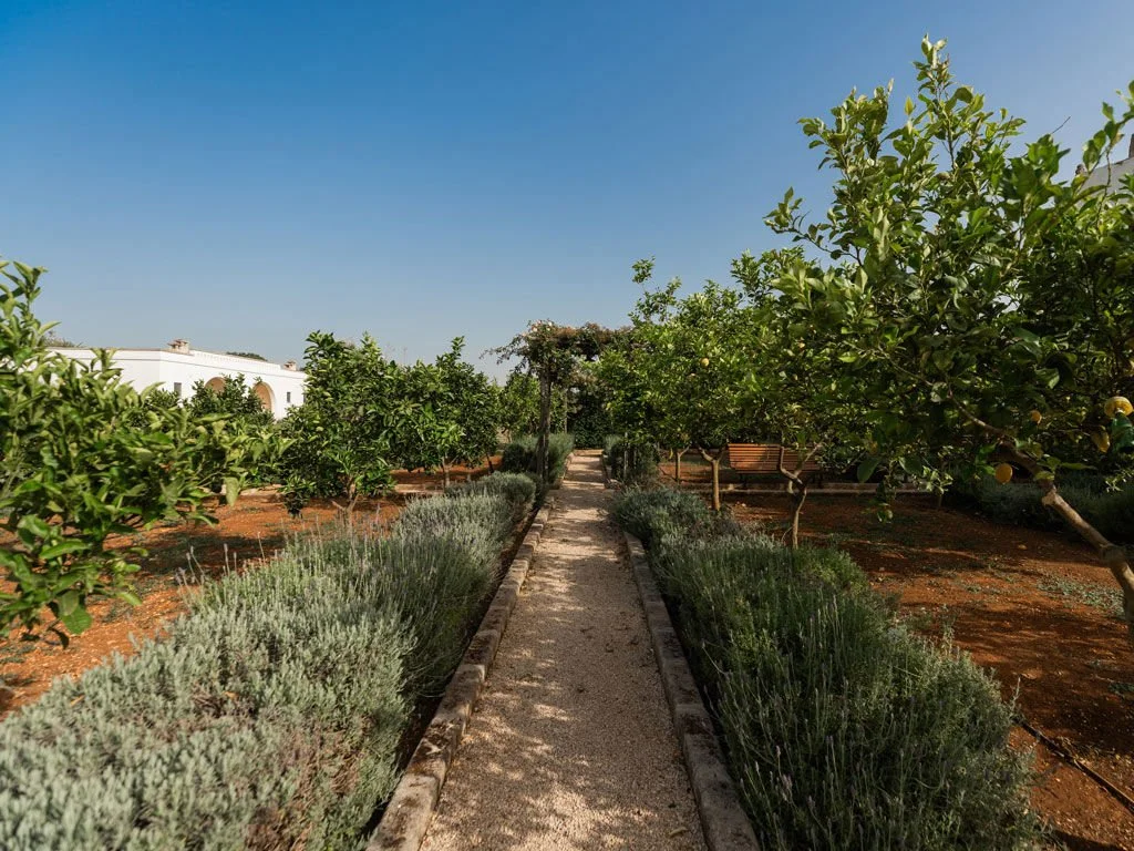 Masseria Santo Scalone