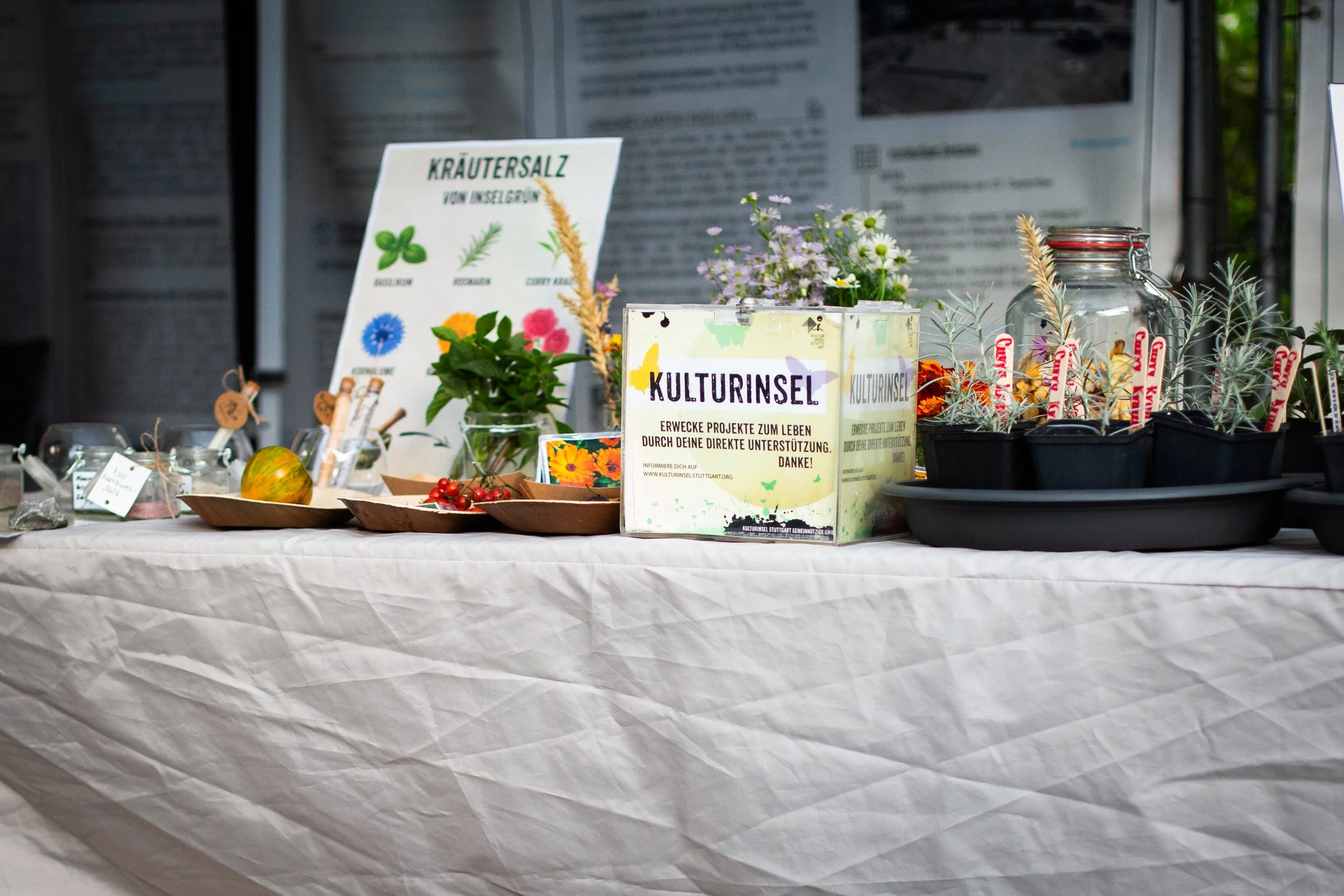 A table covered with a white tablecloth displaying various potted plants, a glass jar, and informational signs at an outdoor event.