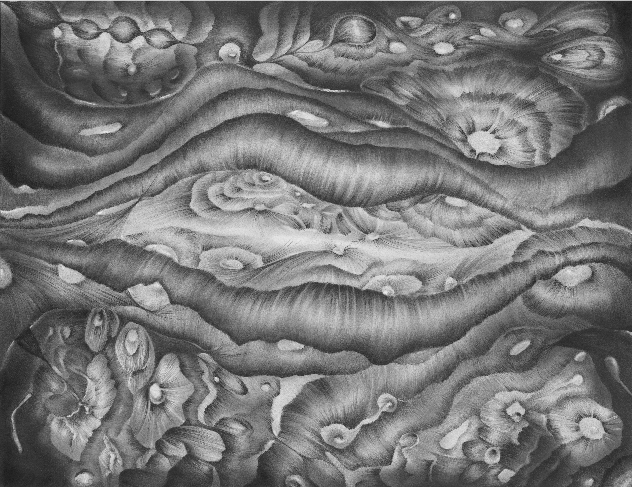 Yann Le Saëc ”La vie avant soi” 15 Mai - 30 Juin 2025