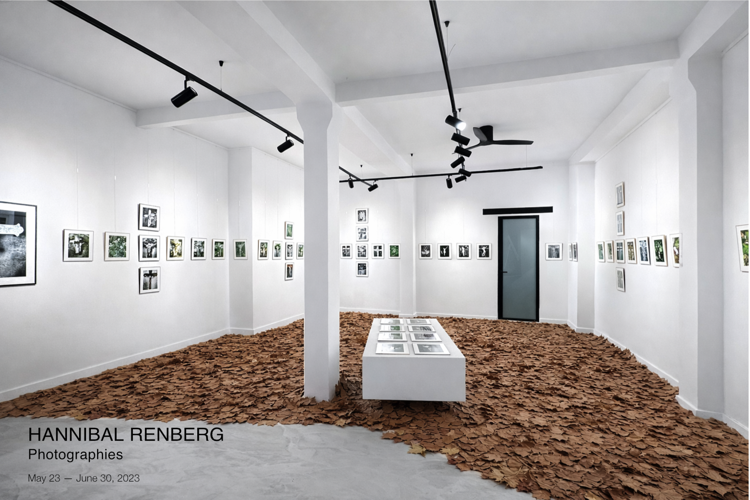 HannibalRenberg-Christ-Page EXPO .png