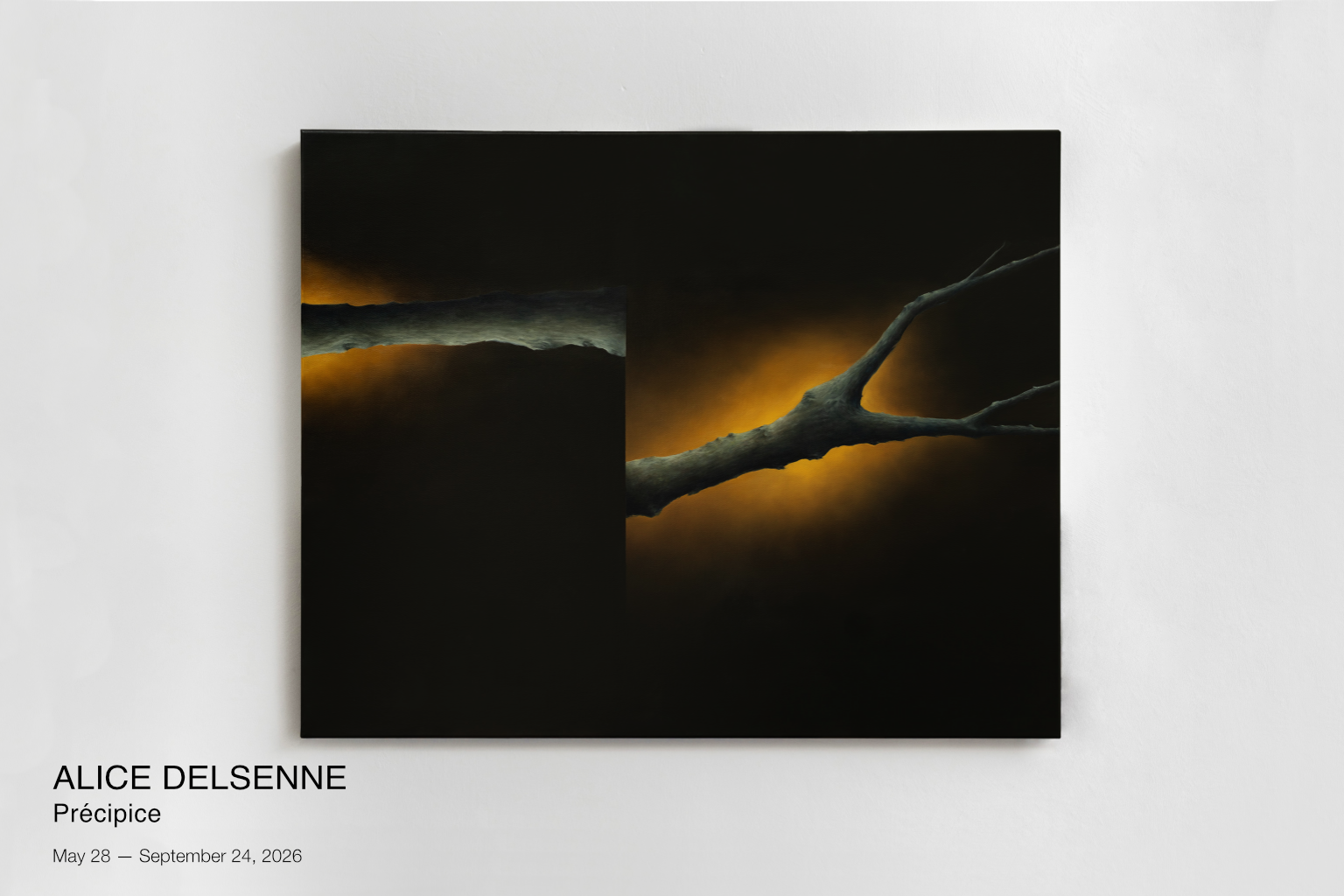 Alice Delsenne-Page EXPO .png