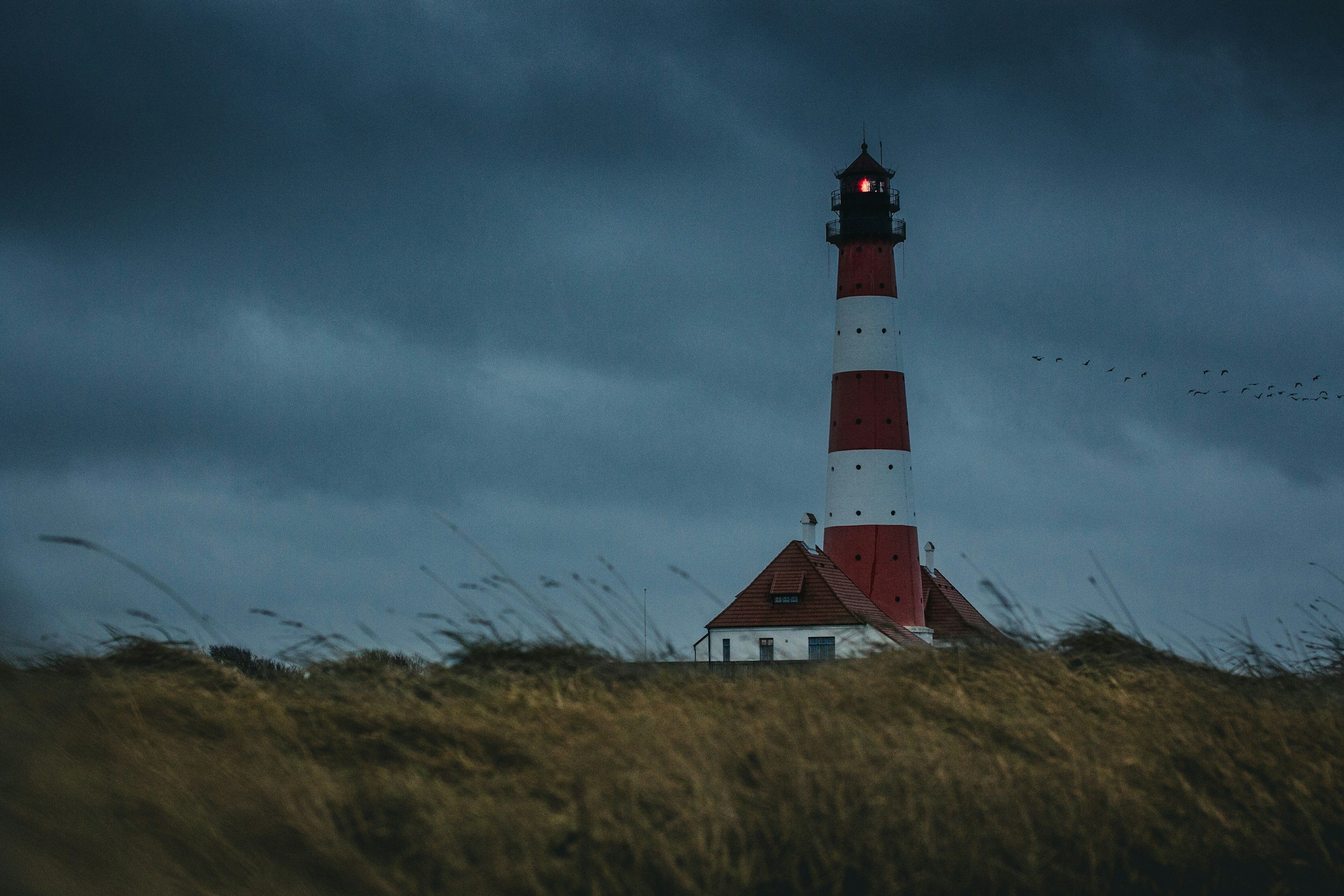 Climate Stories with National Trust (case study)