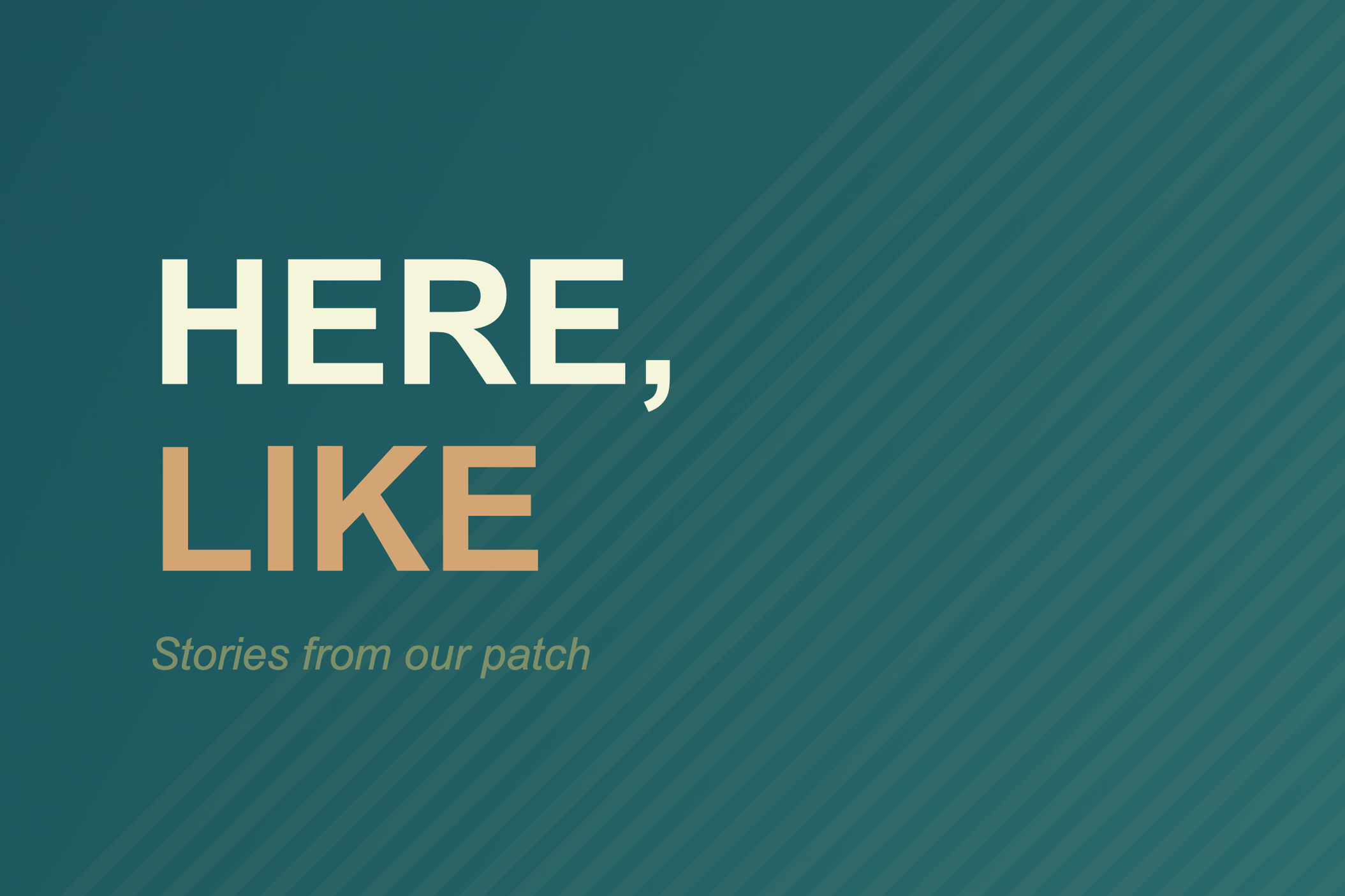 A promotional graphic with the phrase 'HERE, I LIKE' in large font, with some smaller text underneath that reads 'Stories from our patch.' The background has diagonal stripes in shades of teal.