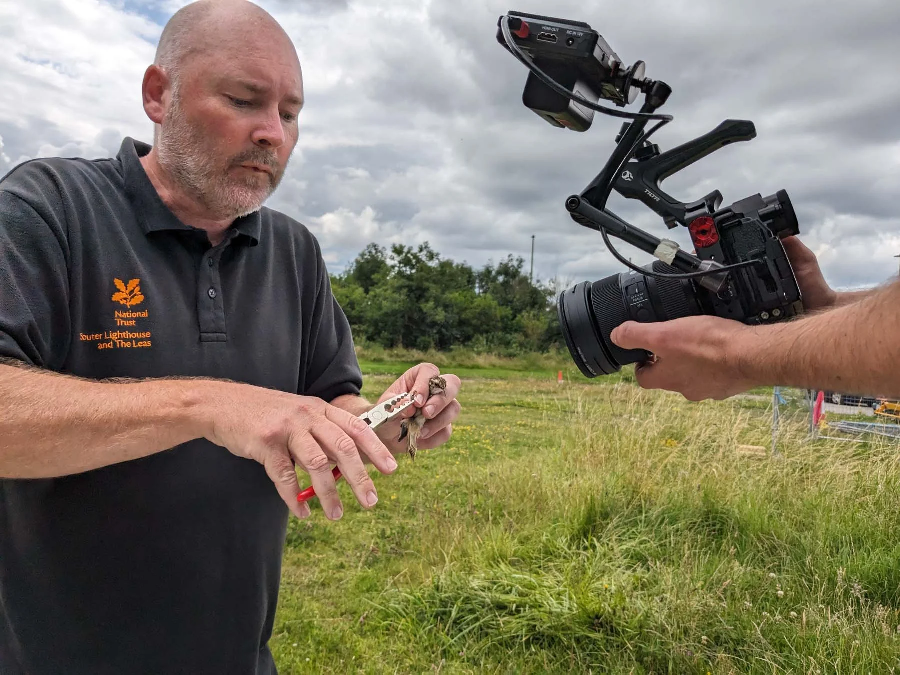 A man with a shaved head and beard, wearing a black shirt with orange logos, holding a small bird while a camera operator films him with a large professional video camera.