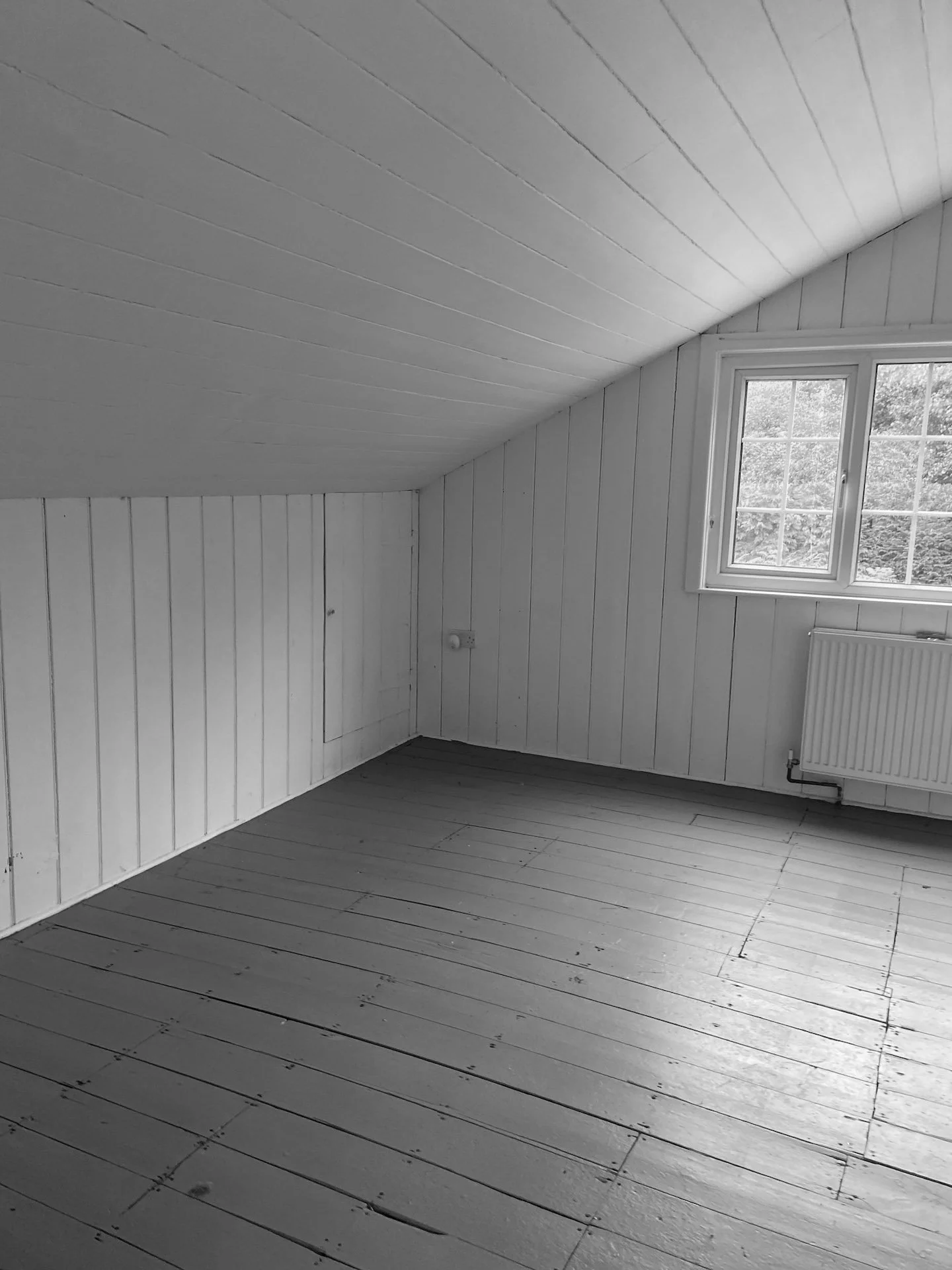 studio EWW | 26 Mordern Park Cottage Site Photos.jpg