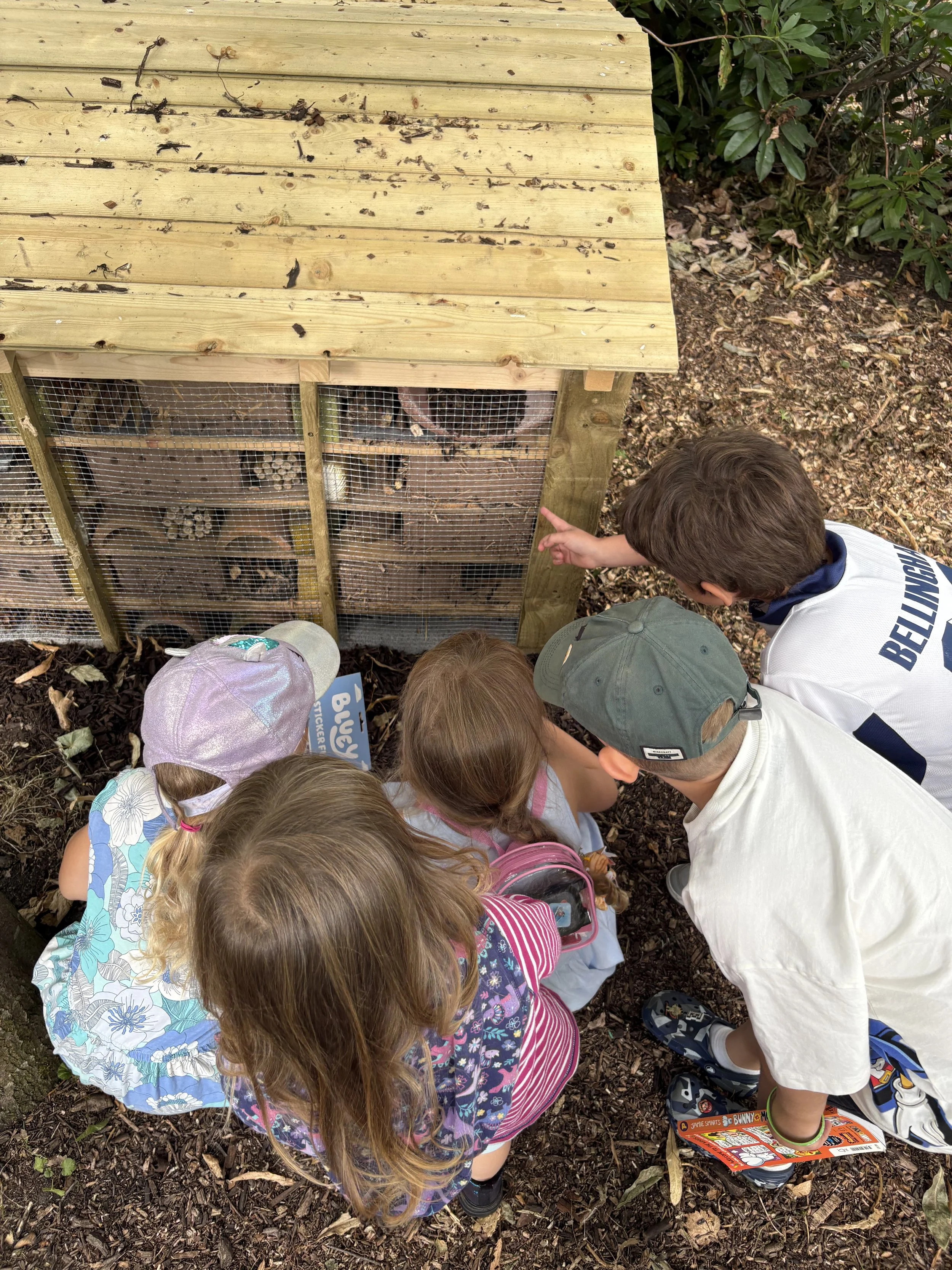 a group of children viewing some insects at the bug hotel in stamford park