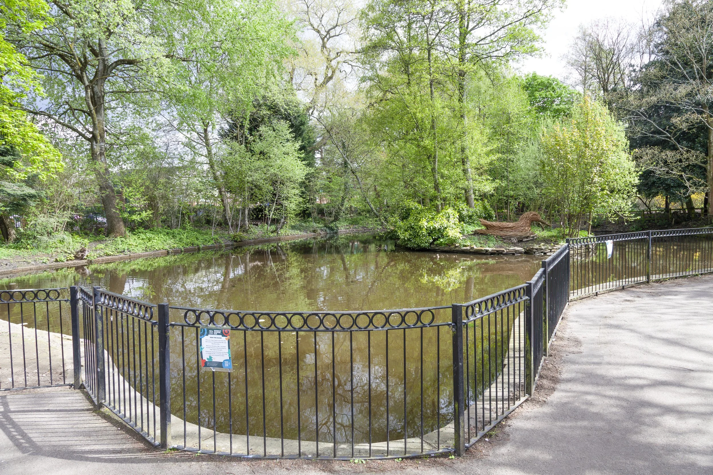 the duck pond at stamford park