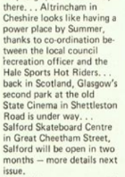 vintage clipping from a leading 1970s skateboarding magazine