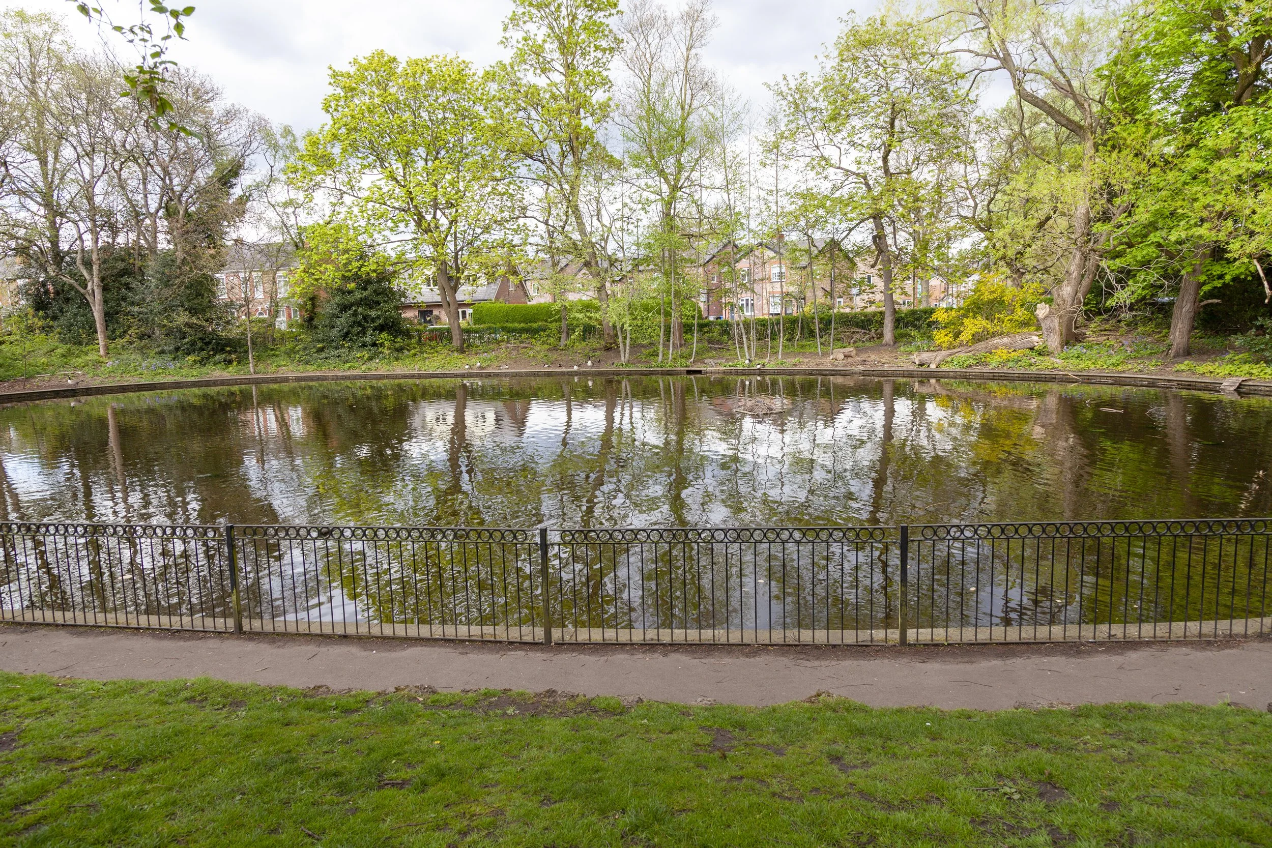 the duck pond at stamford park