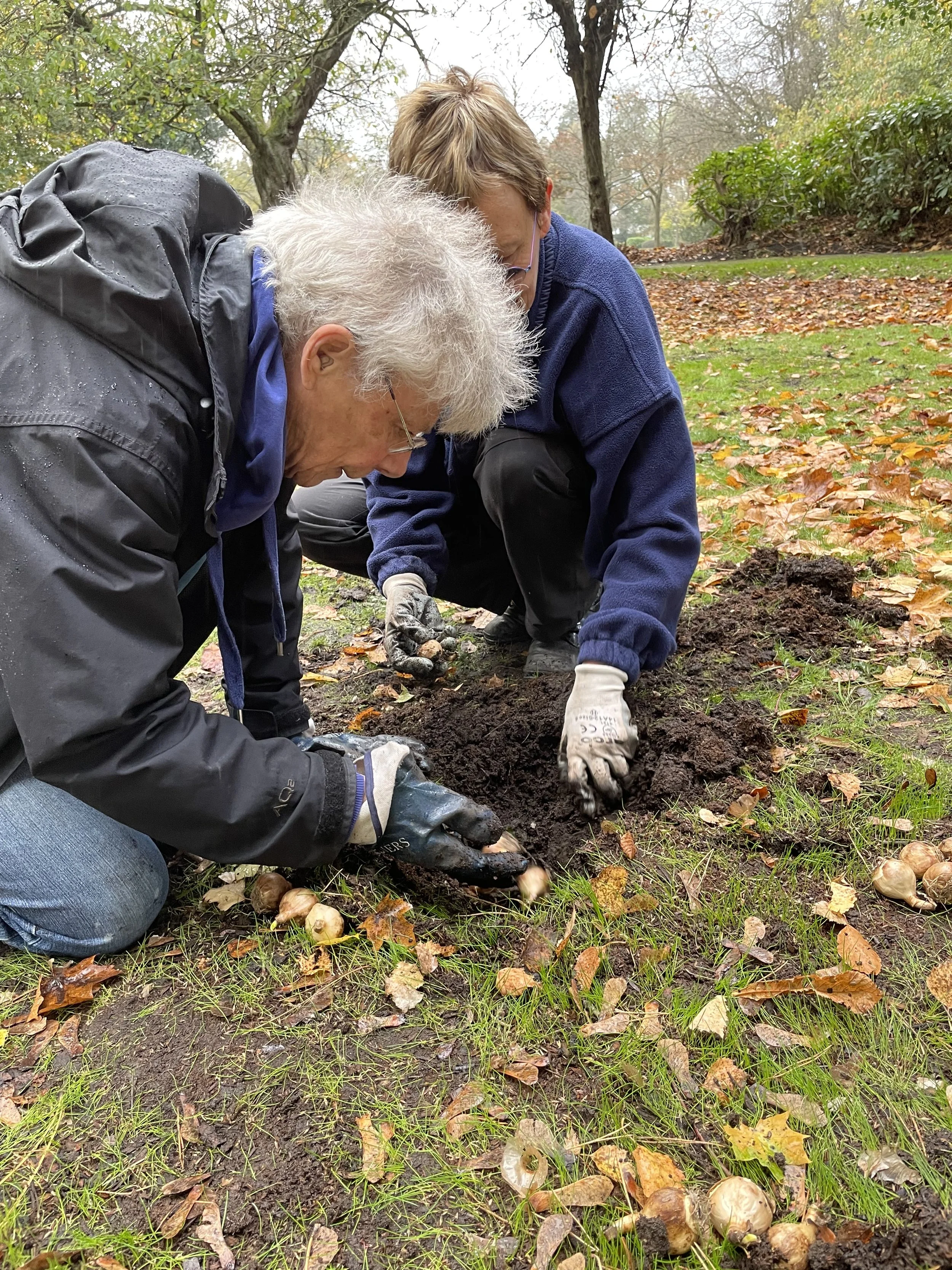 Volunteers planting bulbs in the former Serpentine Garden at Stamford Park