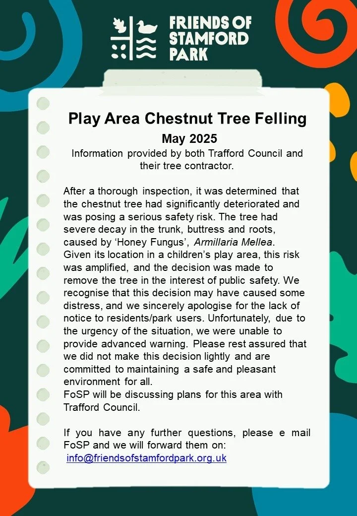 a flyer from Trafford Council, and their tree contractor, explaining why a chestnut tree had to be felled
