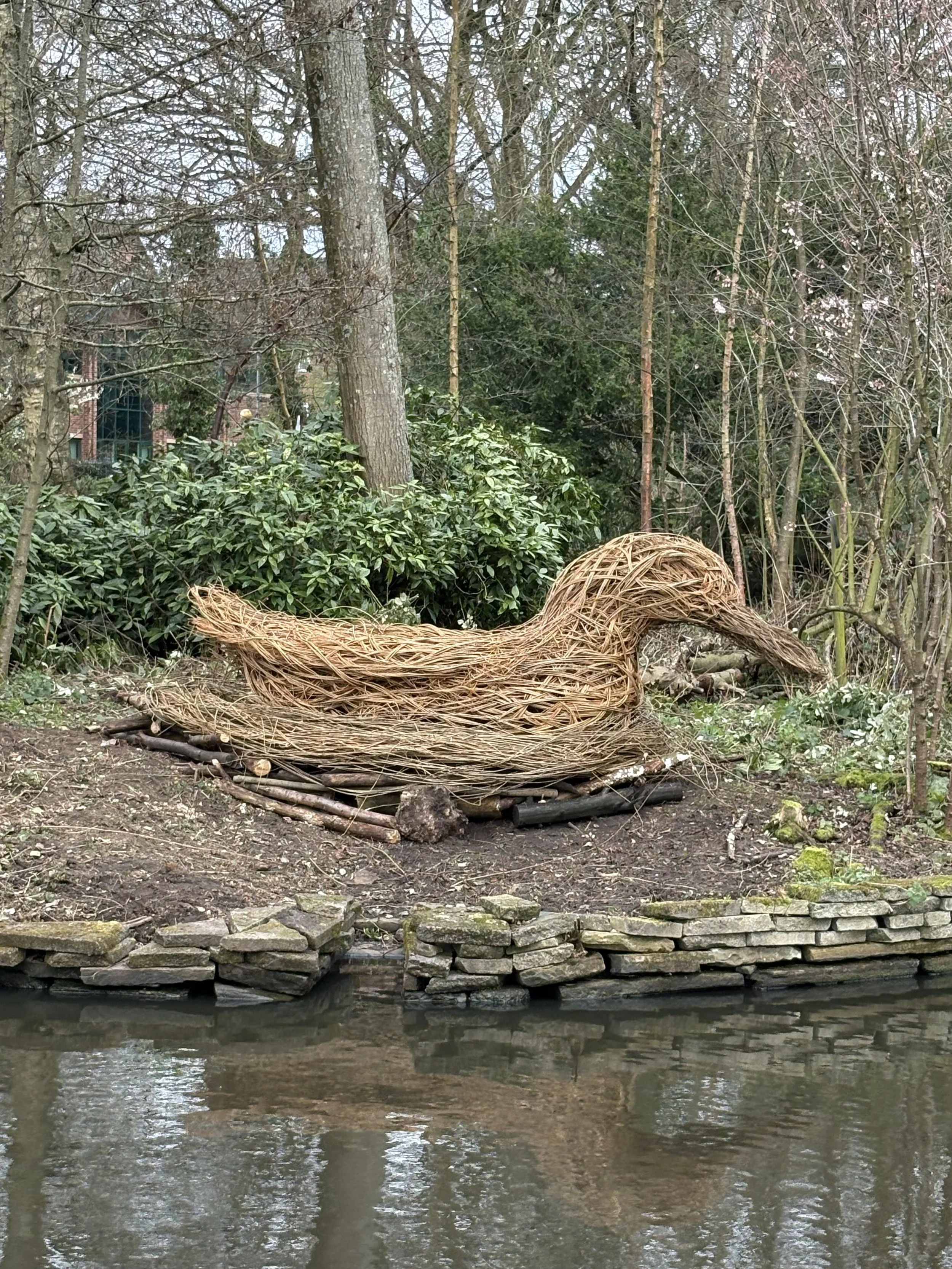 Vinnie the duck in Stamford Park - he's a 10ft duck made completely from willow branches