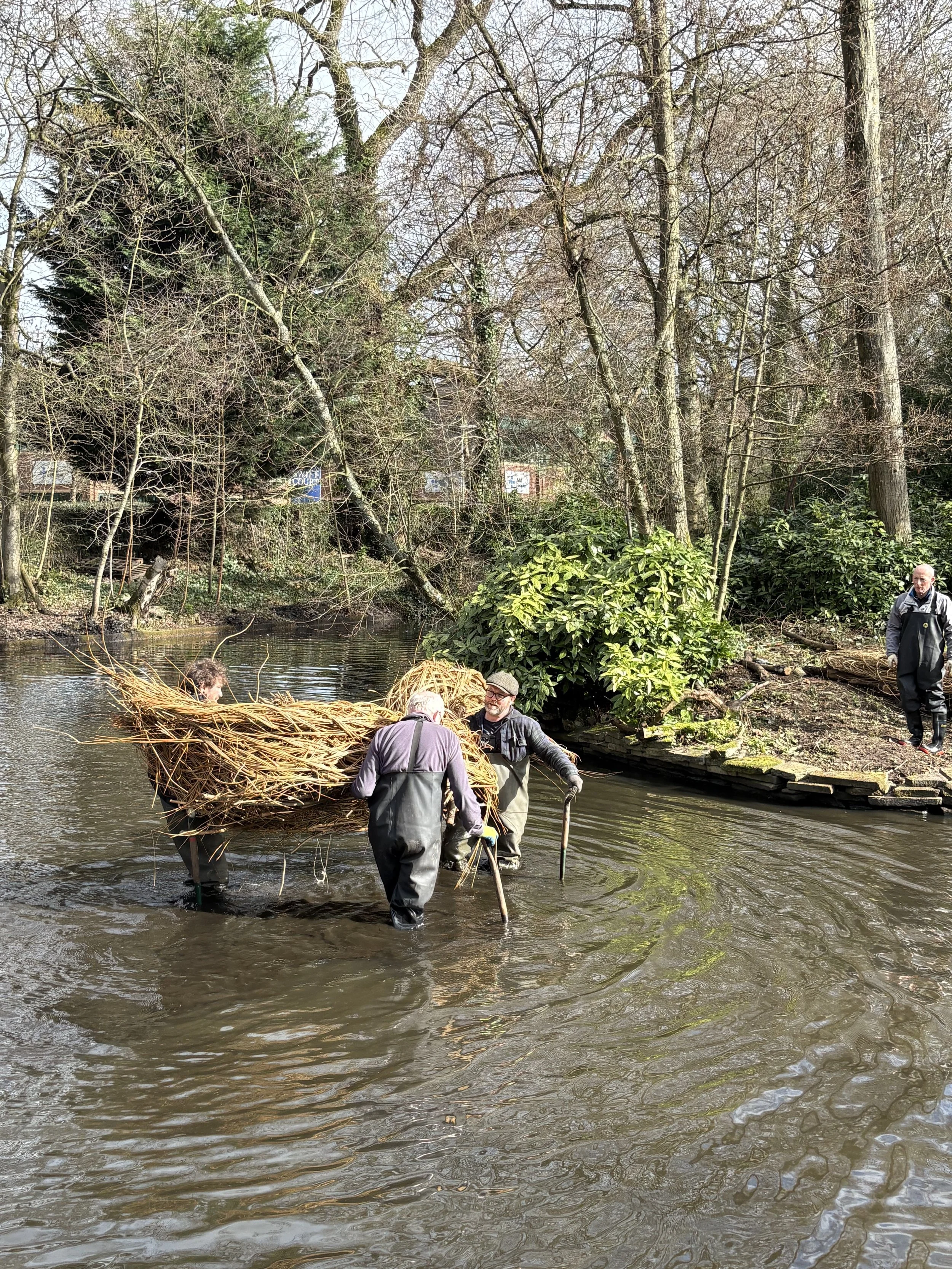 Vinny the 10ft duck made from willow branches, being placed at the centre of the duck pond in stamford park