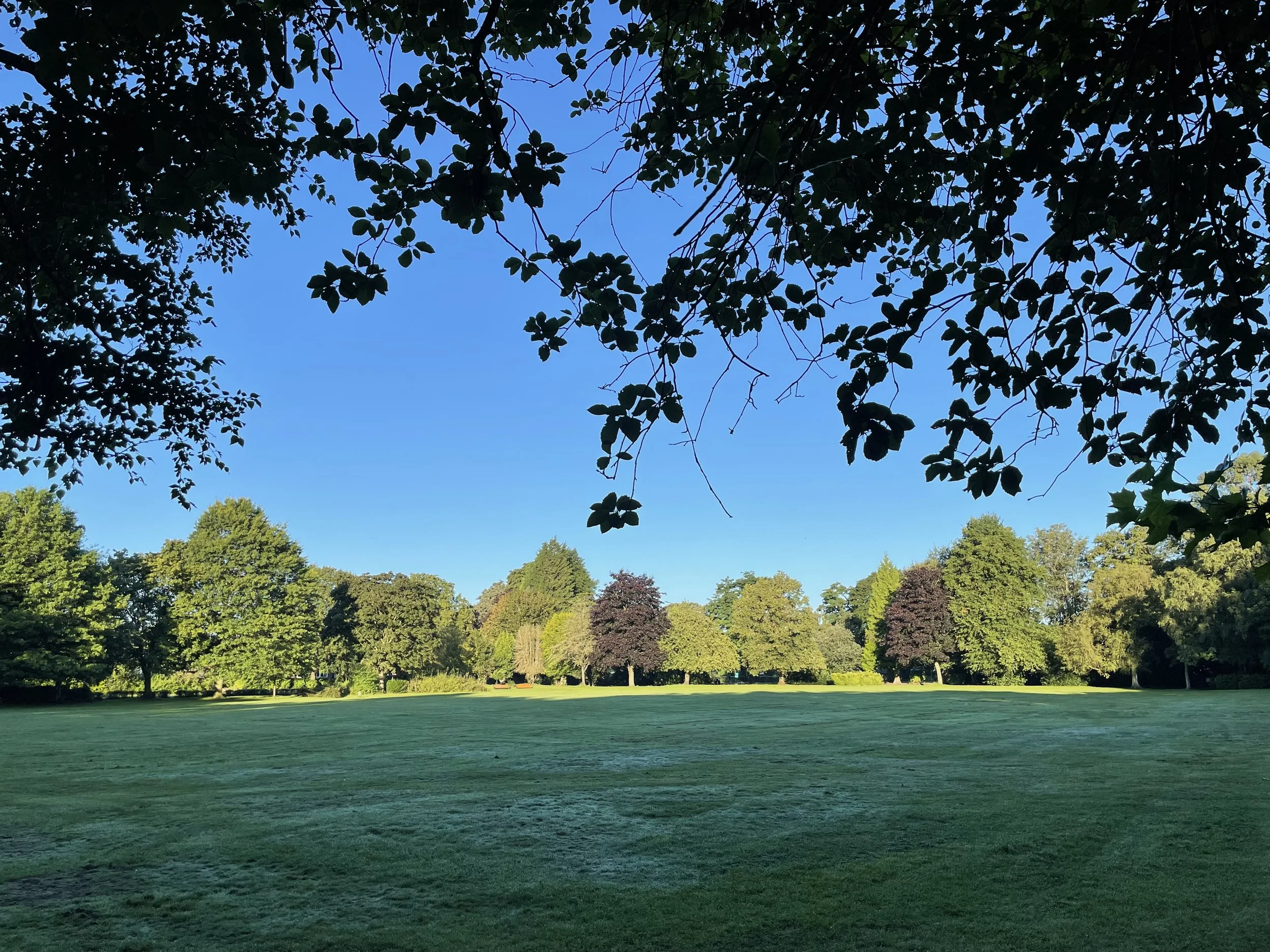 a photo of the centre of stamford park taken in summer 2026
