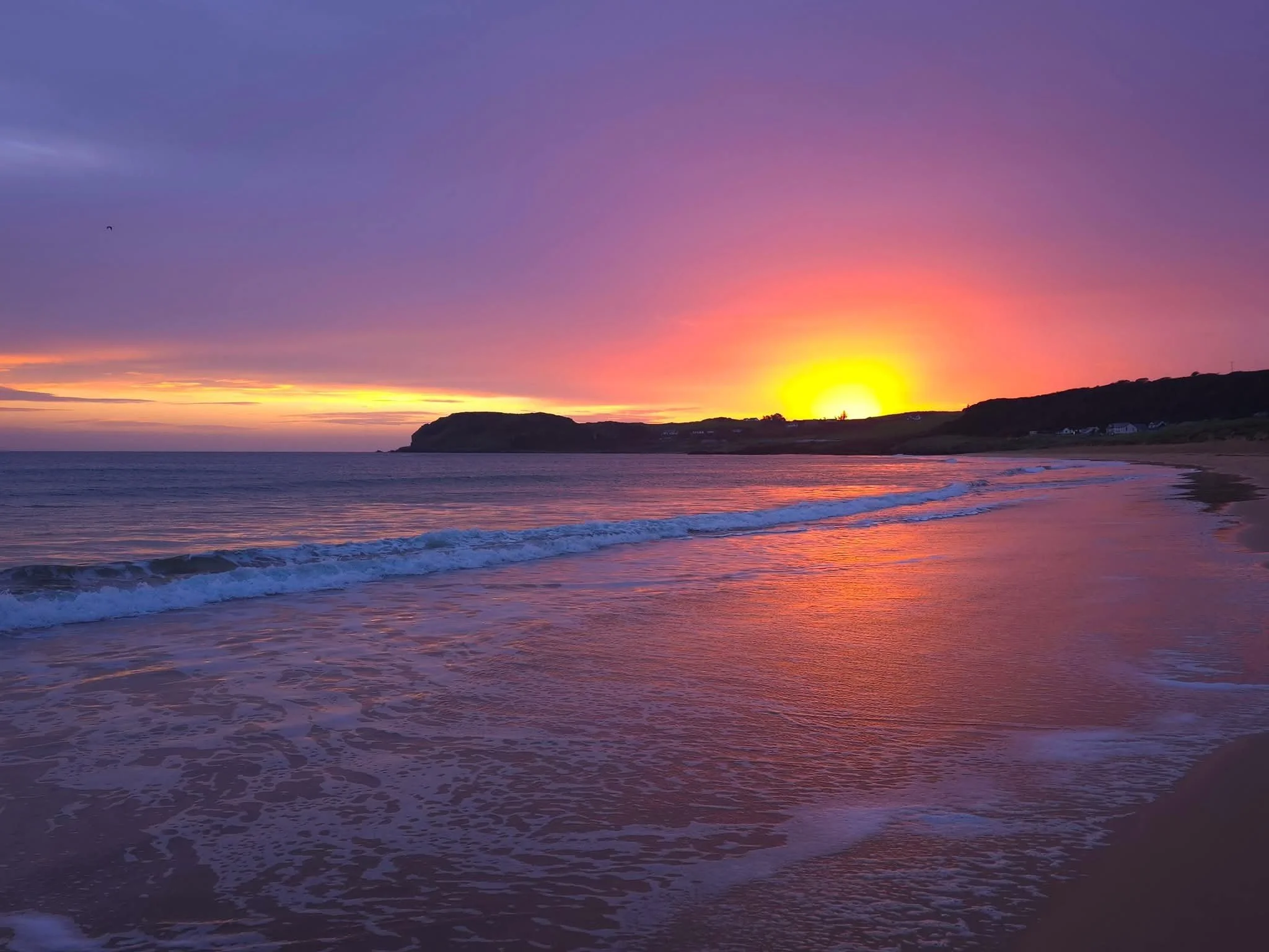 1000039521 - Copy - Copy.jpg