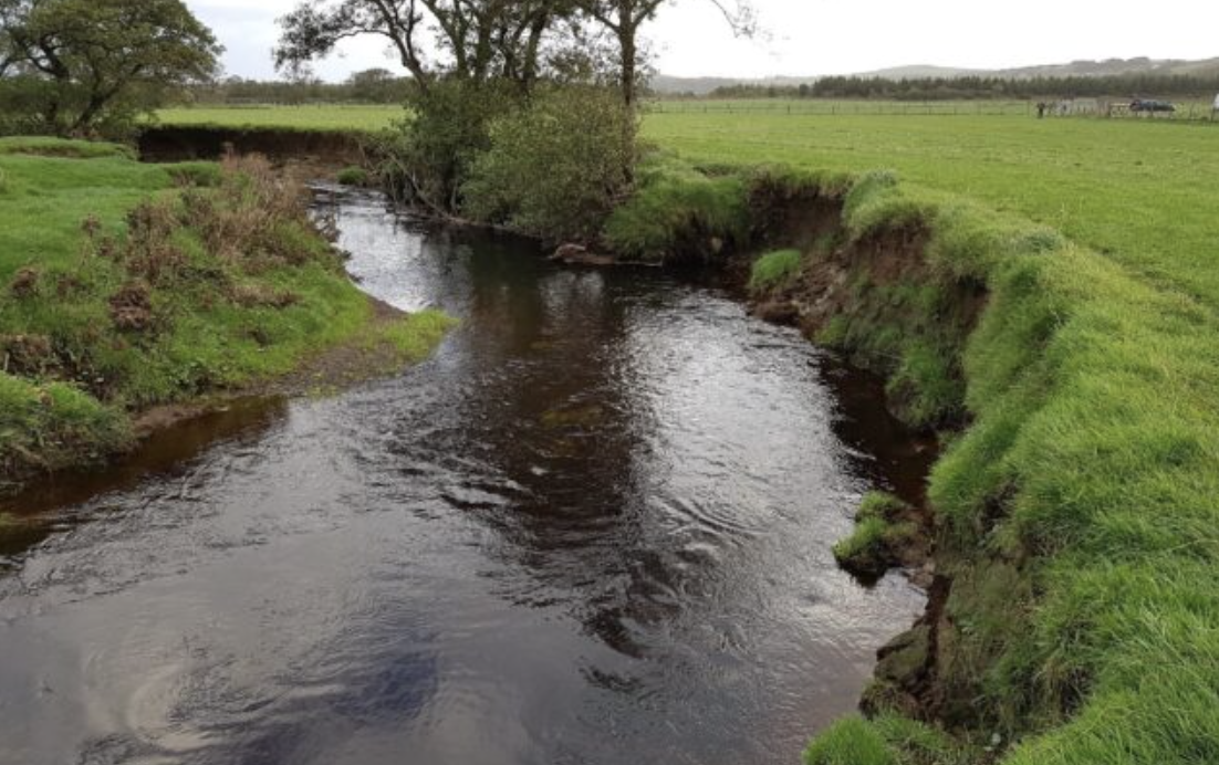 A Closer Look at Culdaff’s Wild Side