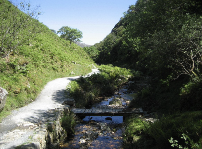 Glenevin Waterfall: A Hidden Woodland Escape in Inishowen
