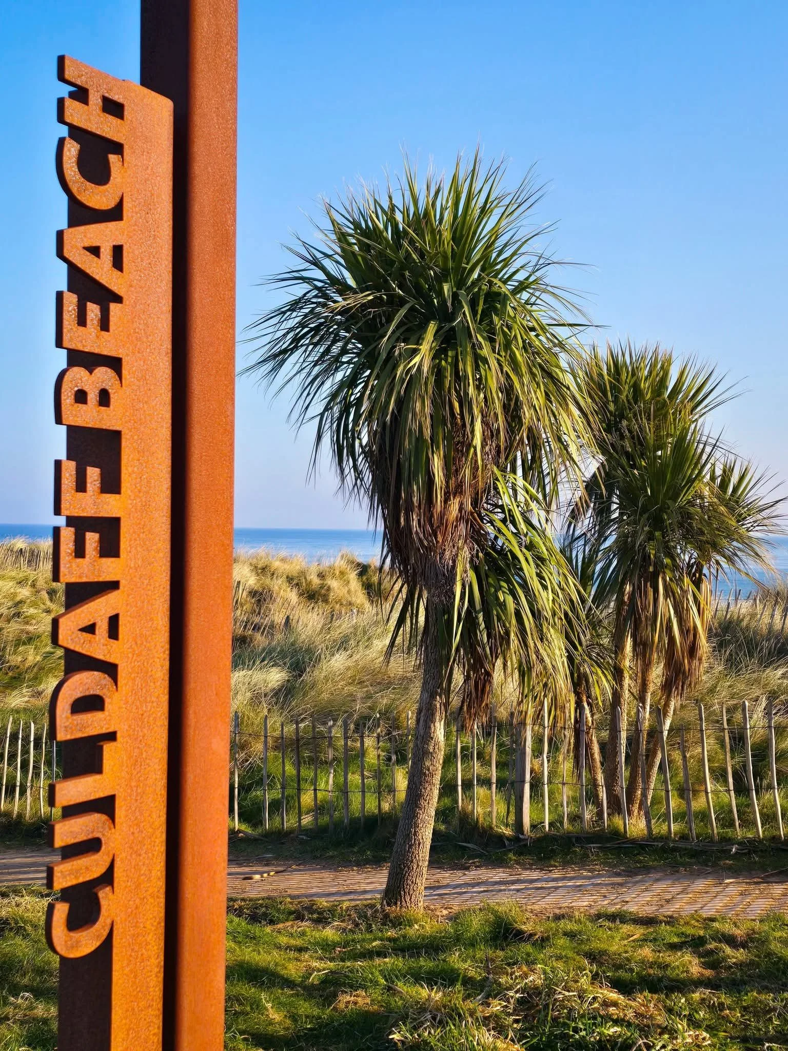 1000039550 - Copy.jpg